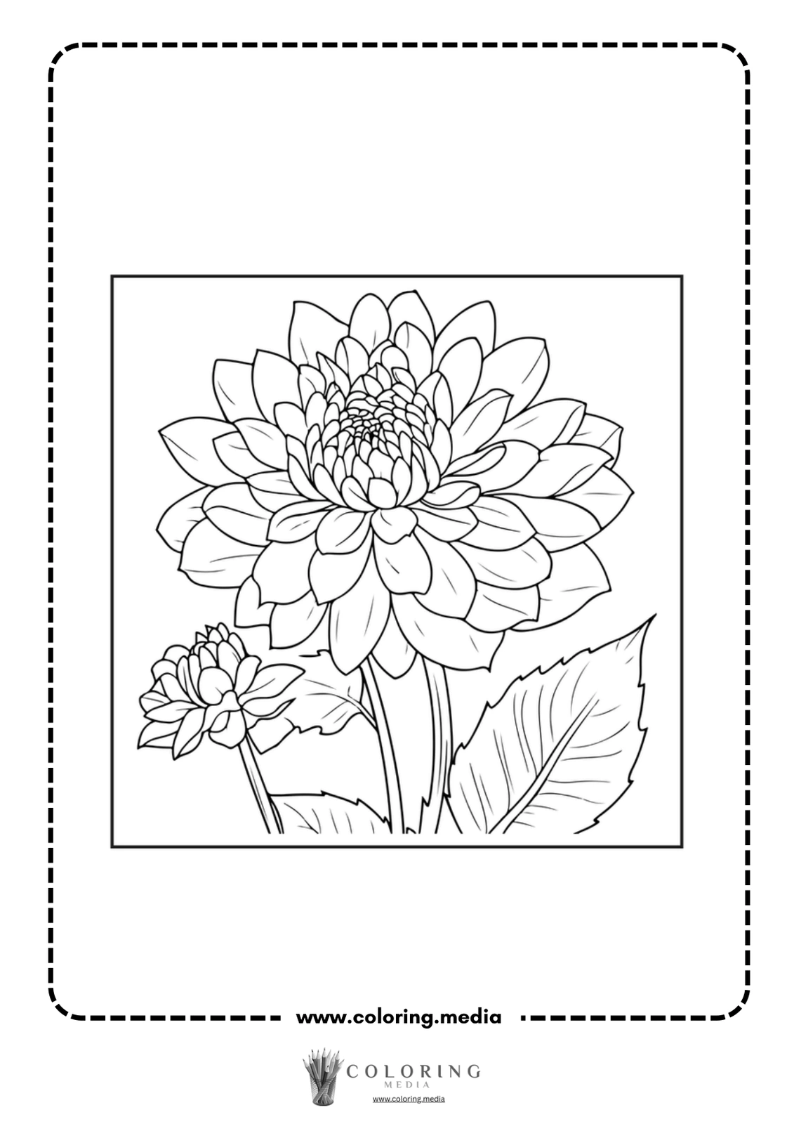 A detailed line drawing of a large flower and a smaller bud.