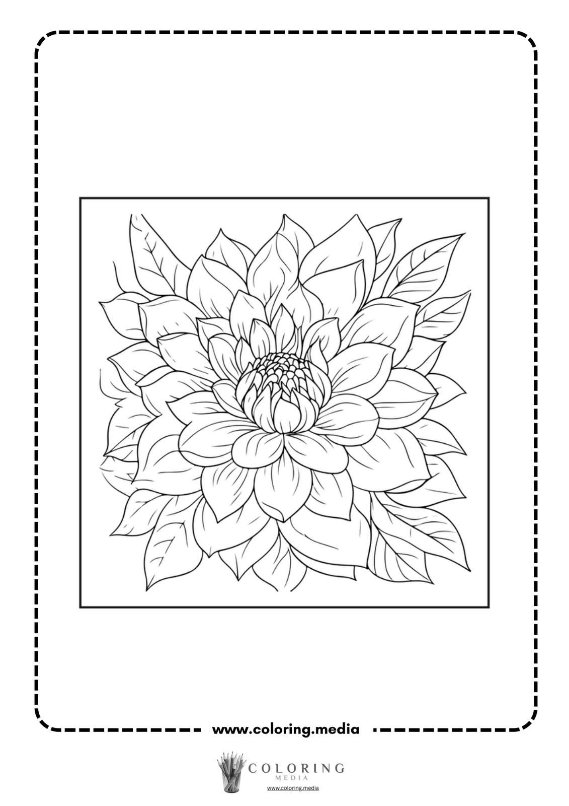 A detailed line drawing of a blooming flower surrounded by leaves.