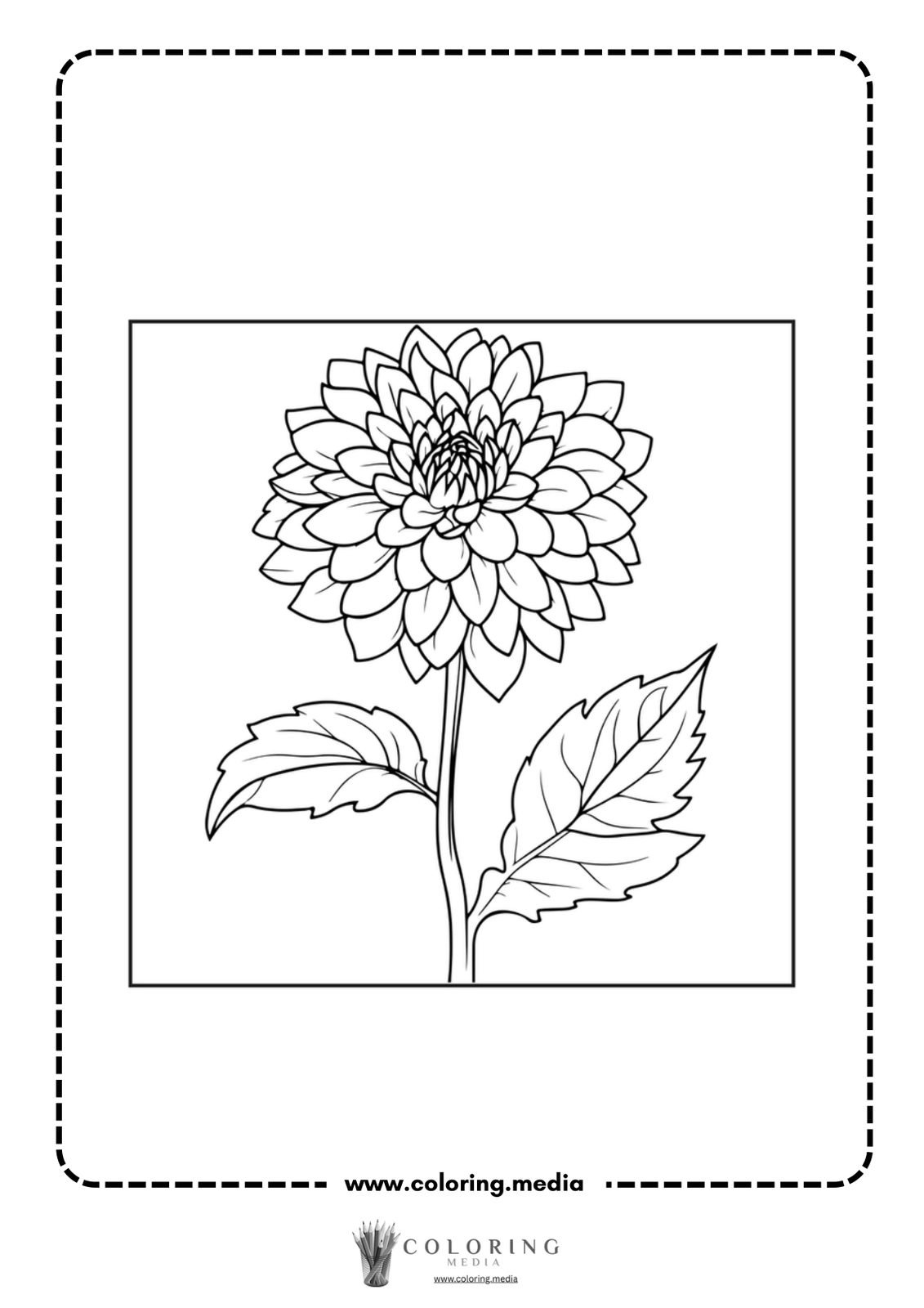 A detailed line drawing of a blooming flower with leaves.