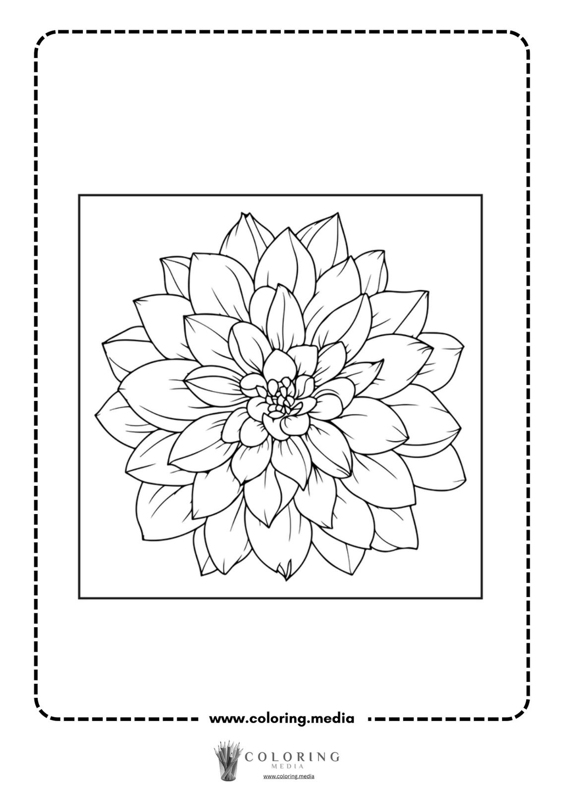 A detailed line drawing of a blooming flower, ready for coloring.