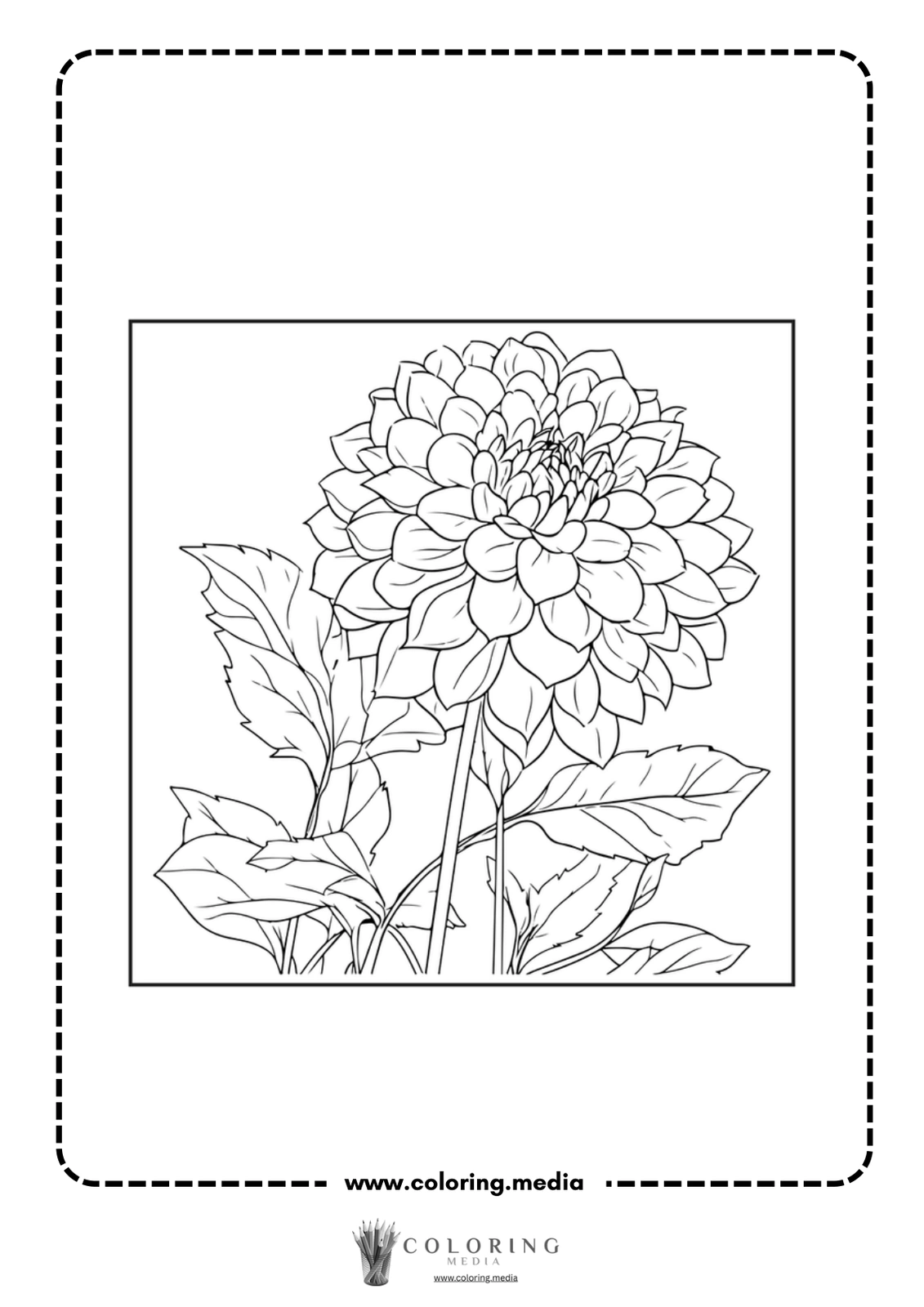 A detailed line drawing of a blooming dahlia flower with leaves.