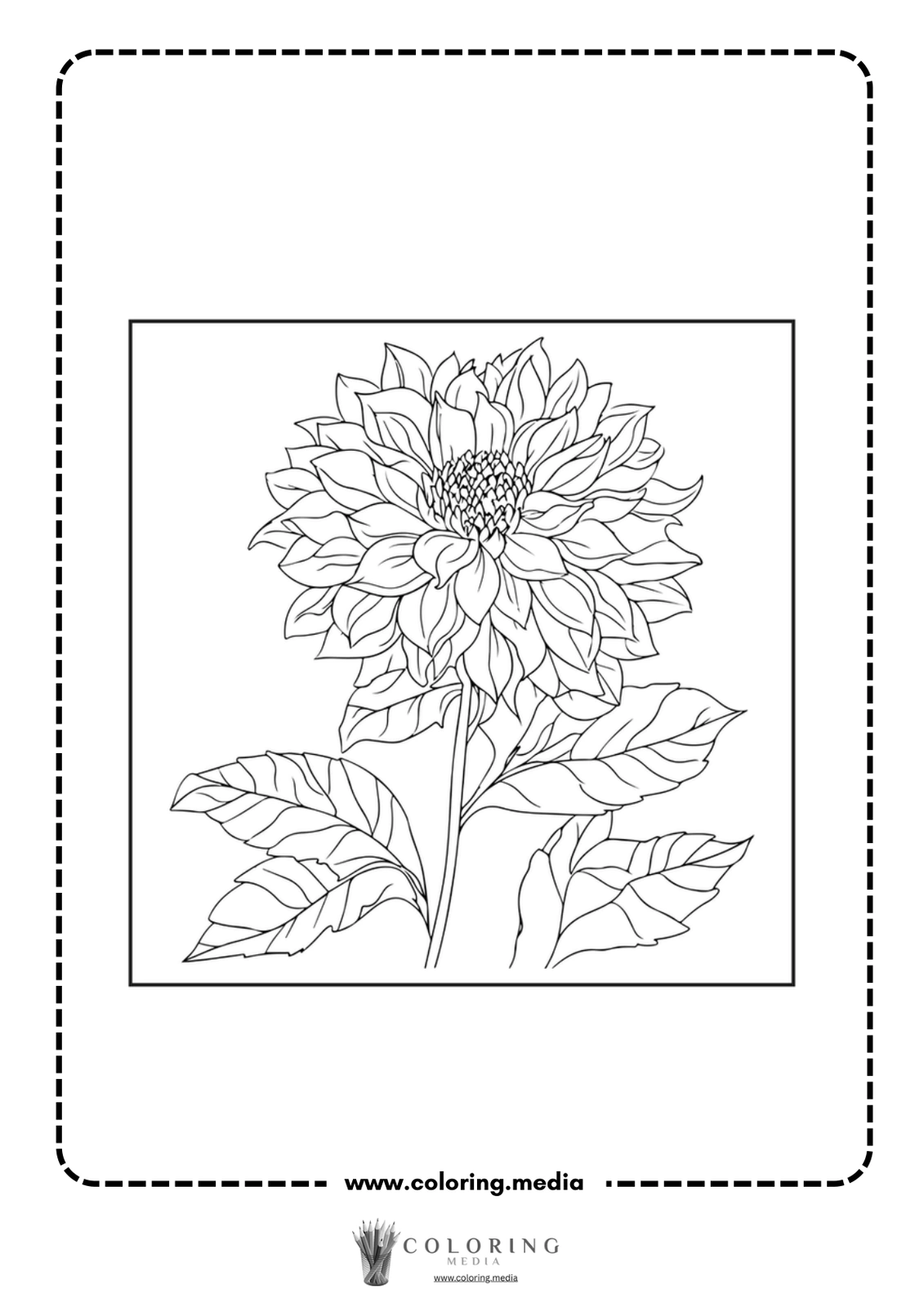 A detailed line drawing of a blooming flower with leaves.