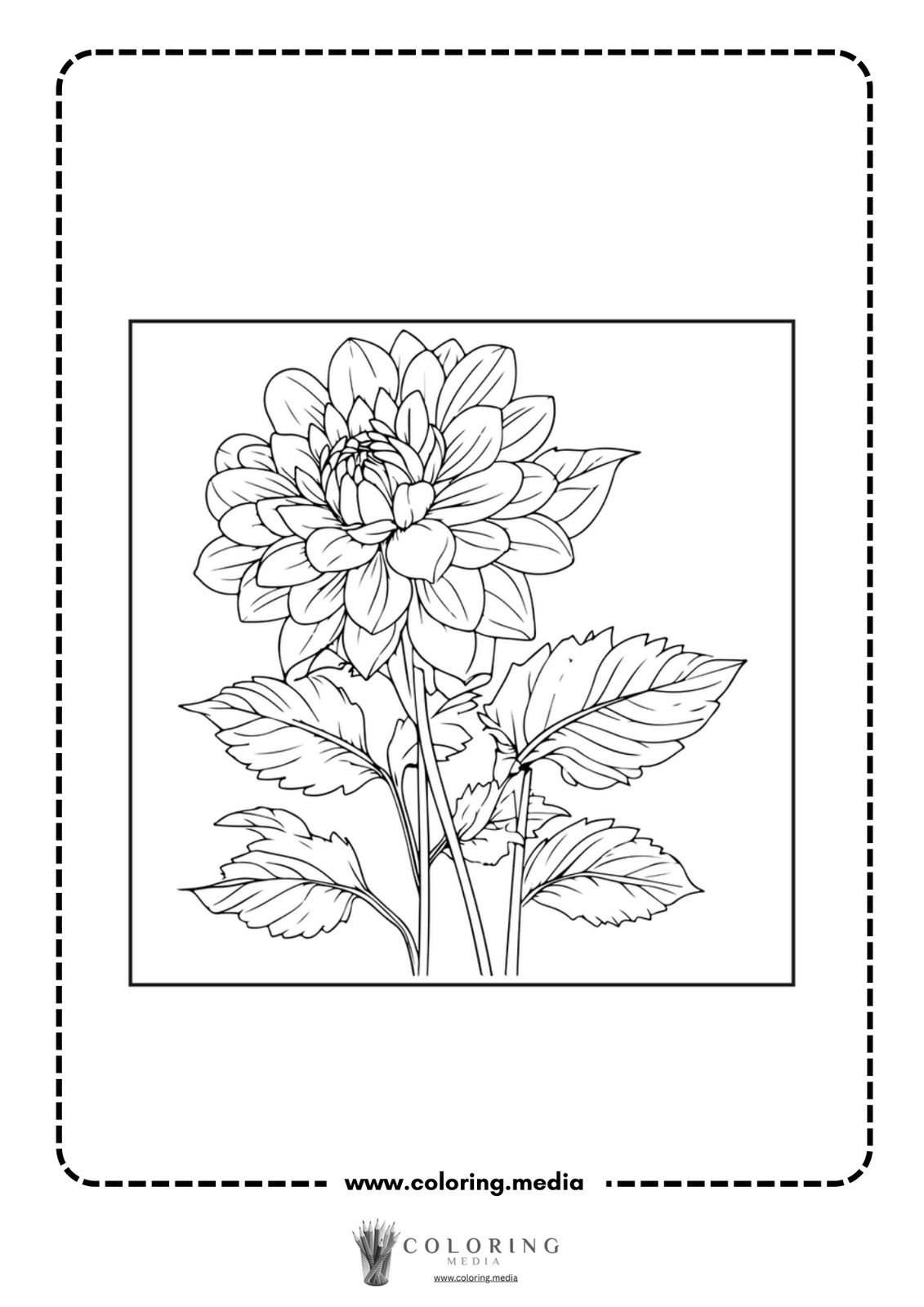 A detailed line drawing of a blooming flower with leaves.