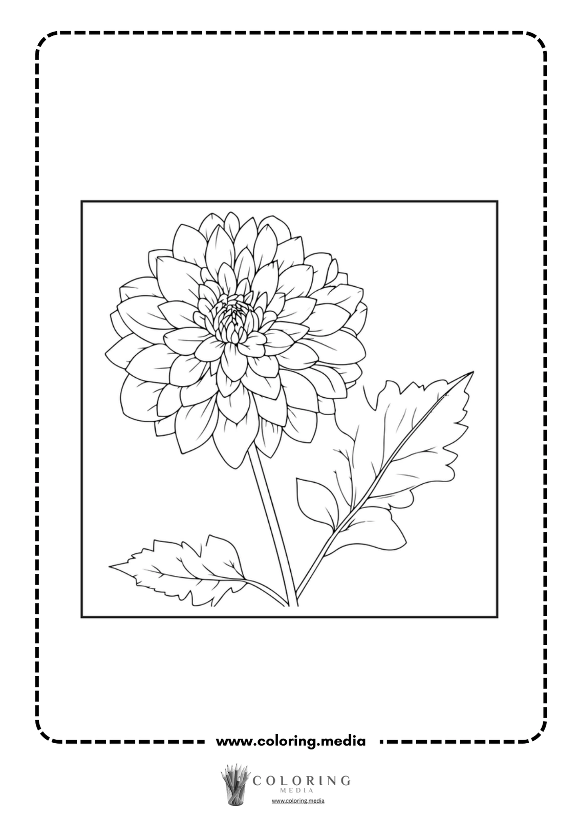 A detailed line drawing of a dahlia flower with leaves.