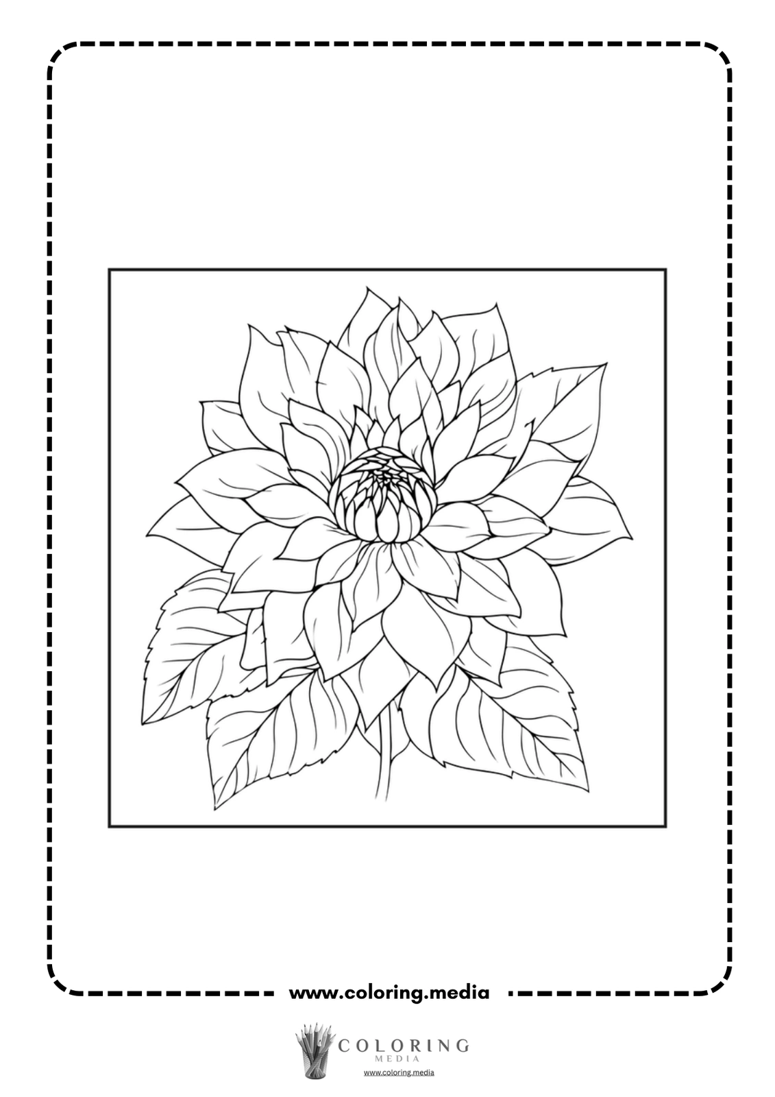 A detailed line drawing of a blooming flower with leaves.