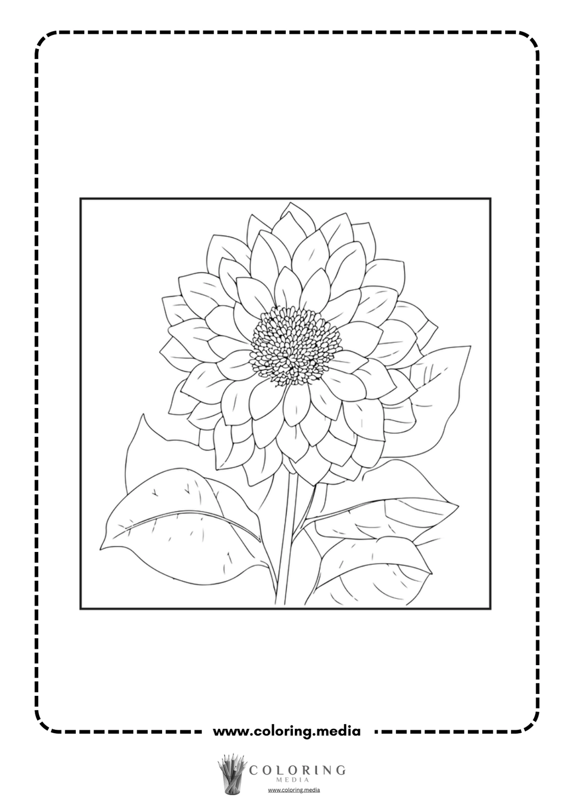 A detailed line drawing of a sunflower with leaves, ready for coloring.