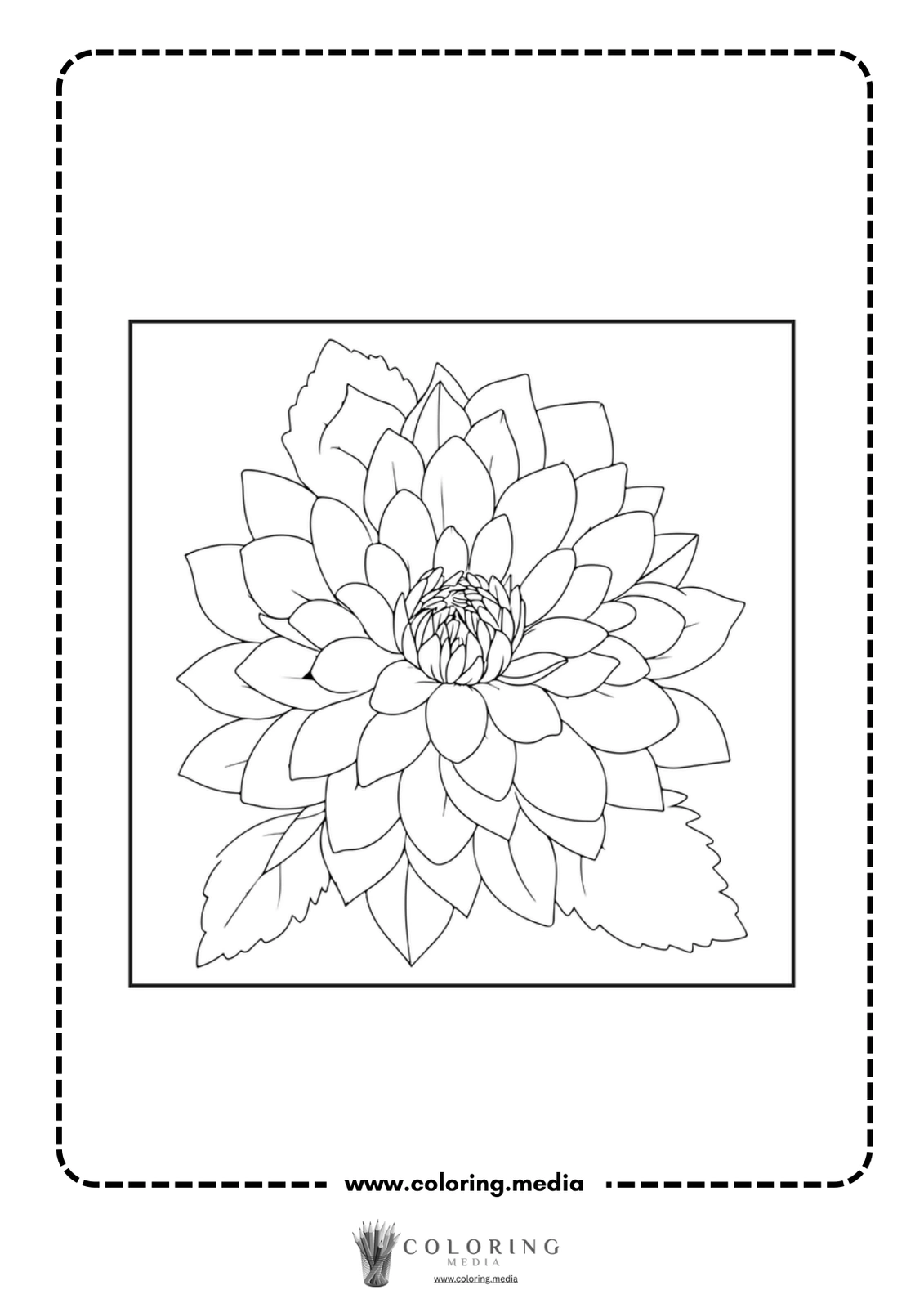 A detailed line drawing of a blooming flower with leaves.