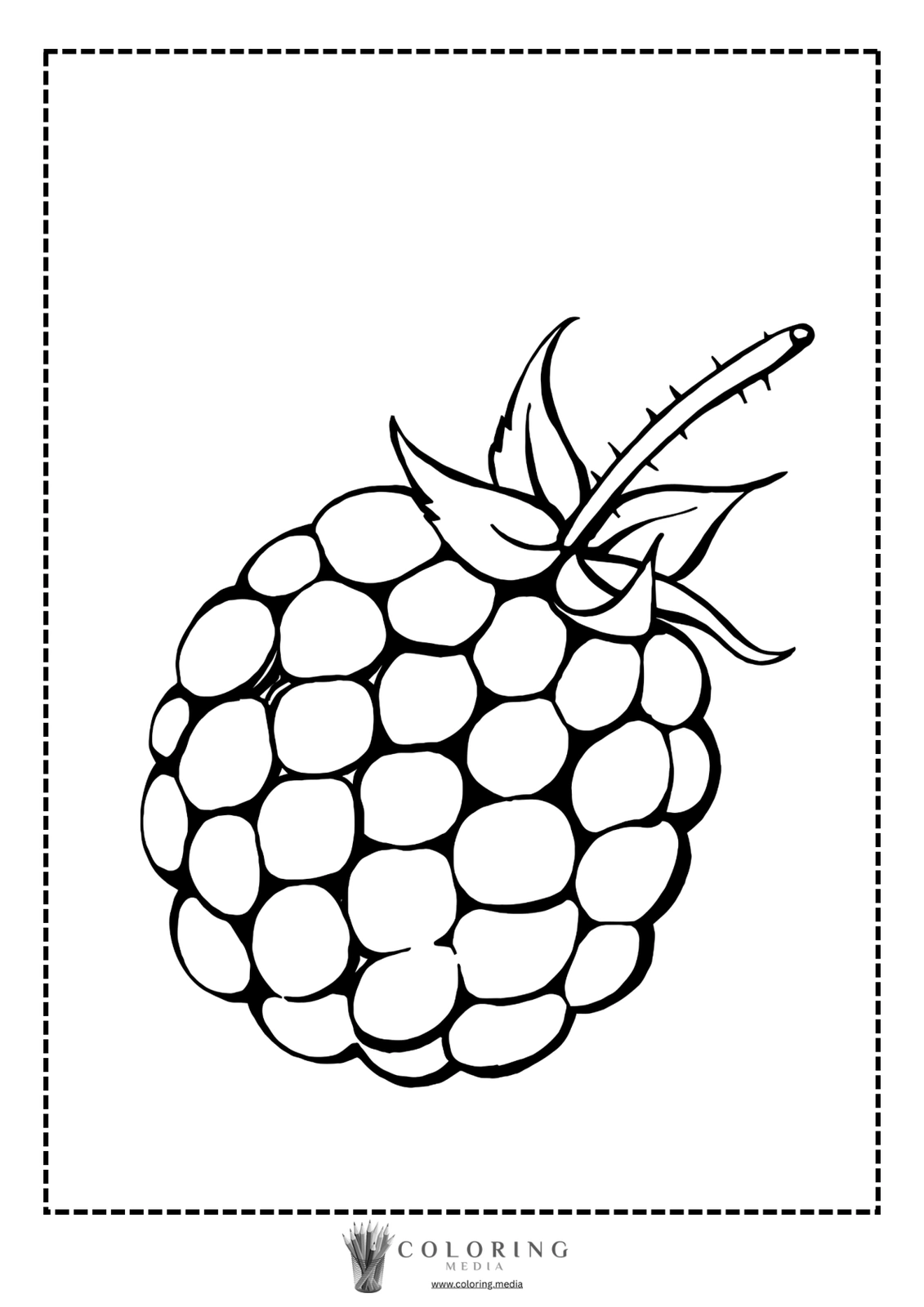 A detailed outline of a raspberry with leaves and thorns.