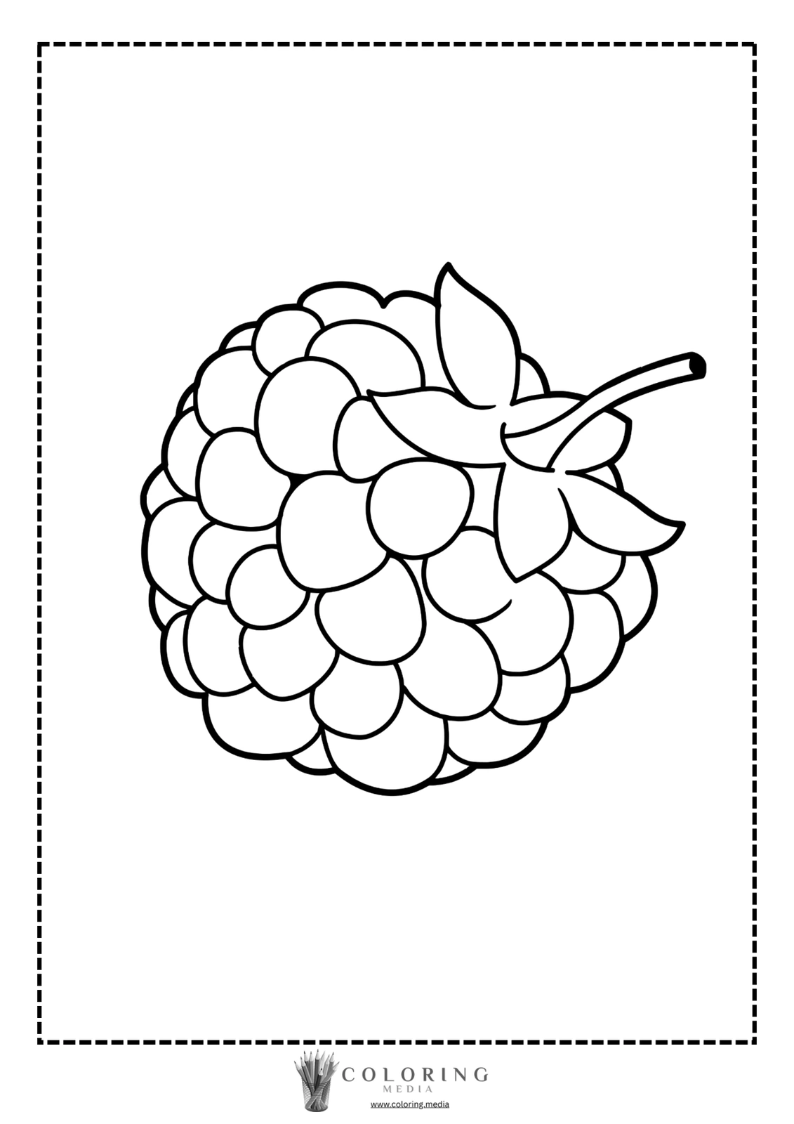 A detailed outline of a raspberry with leaves, ready for coloring.