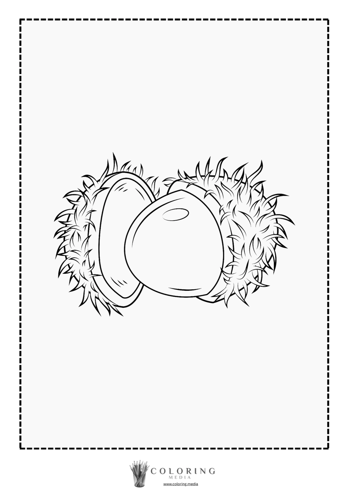 Two open chestnuts with spiky shells, ready for coloring.