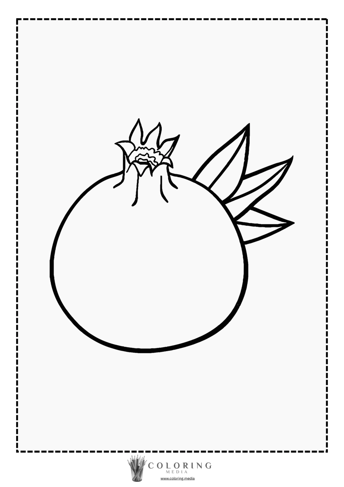 A simple line drawing of a pomegranate with leaves.