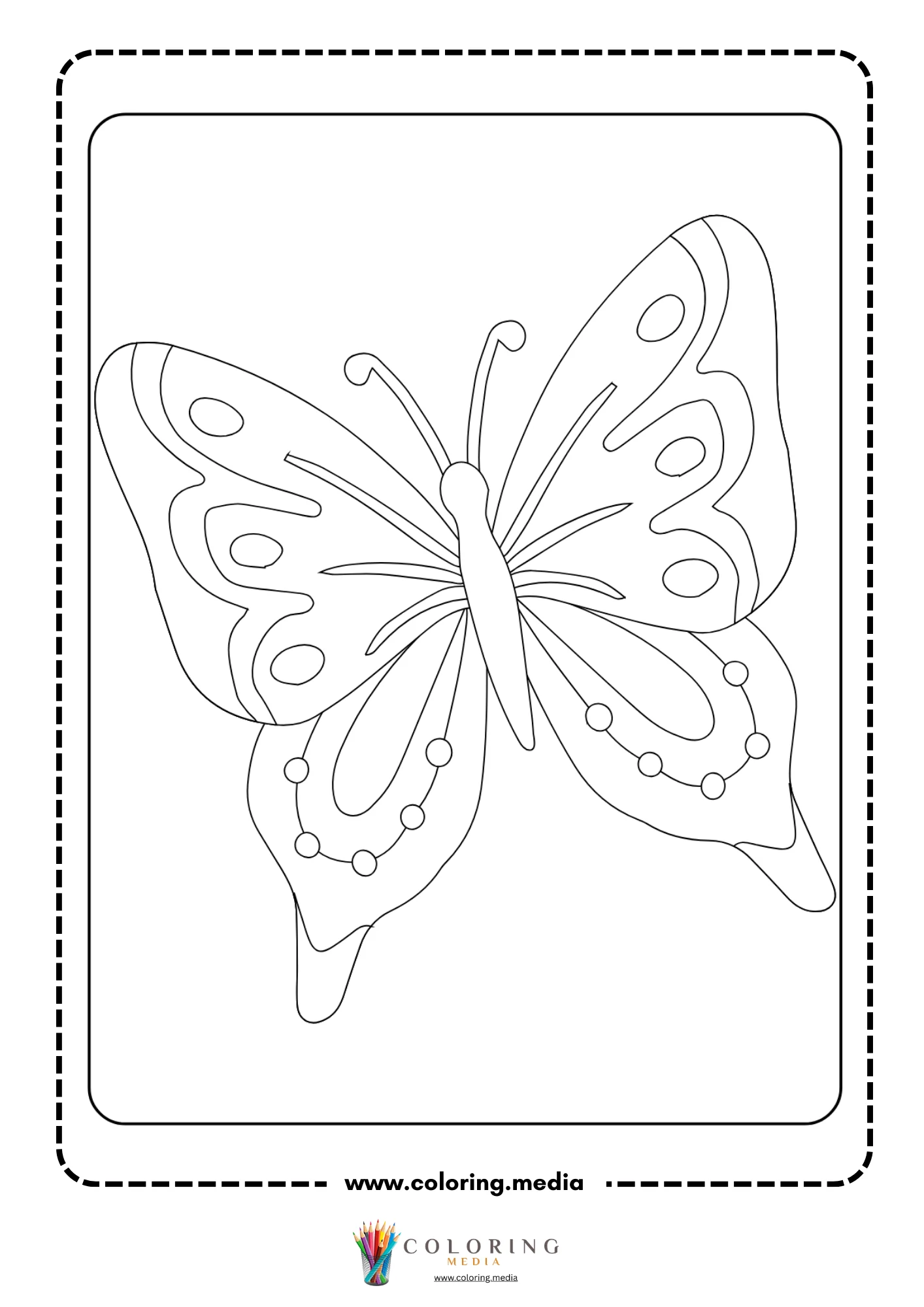 Butterfly with colorful patterned wings top view