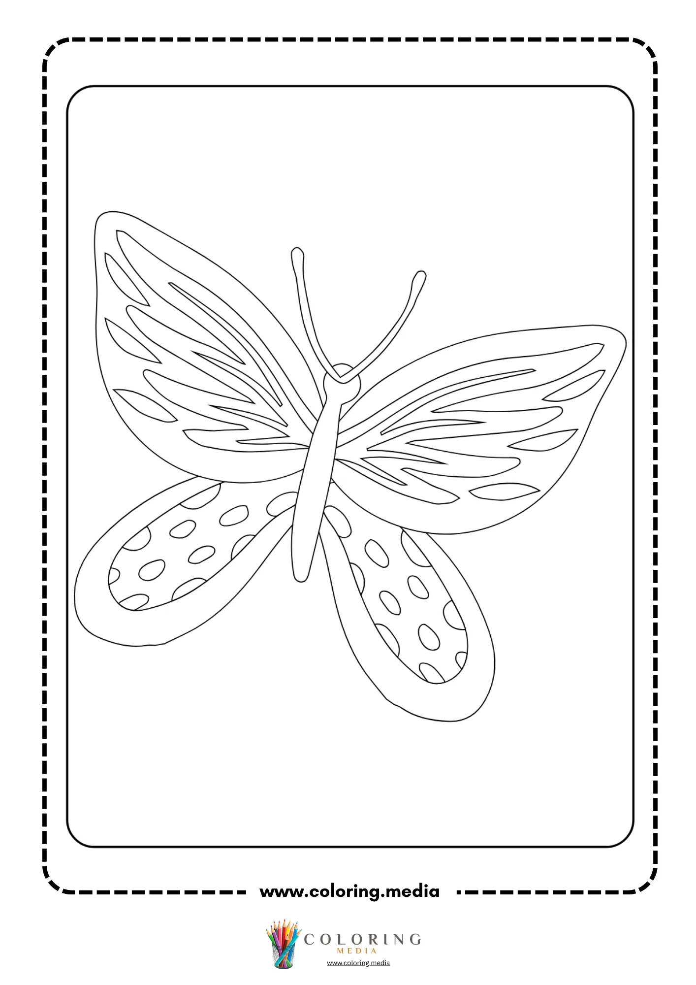 Detailed butterfly with elaborate eyespots