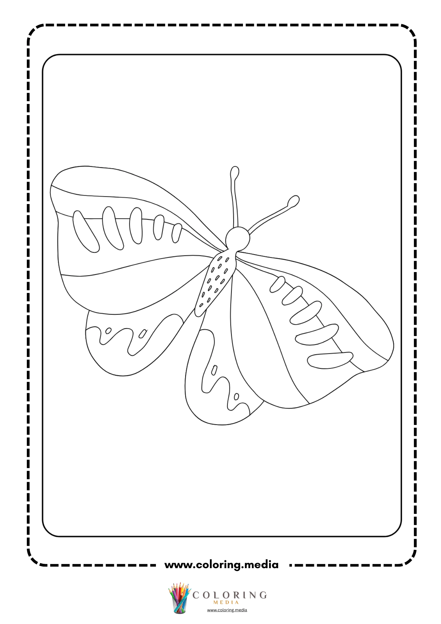Butterfly in upward mid-flight angle