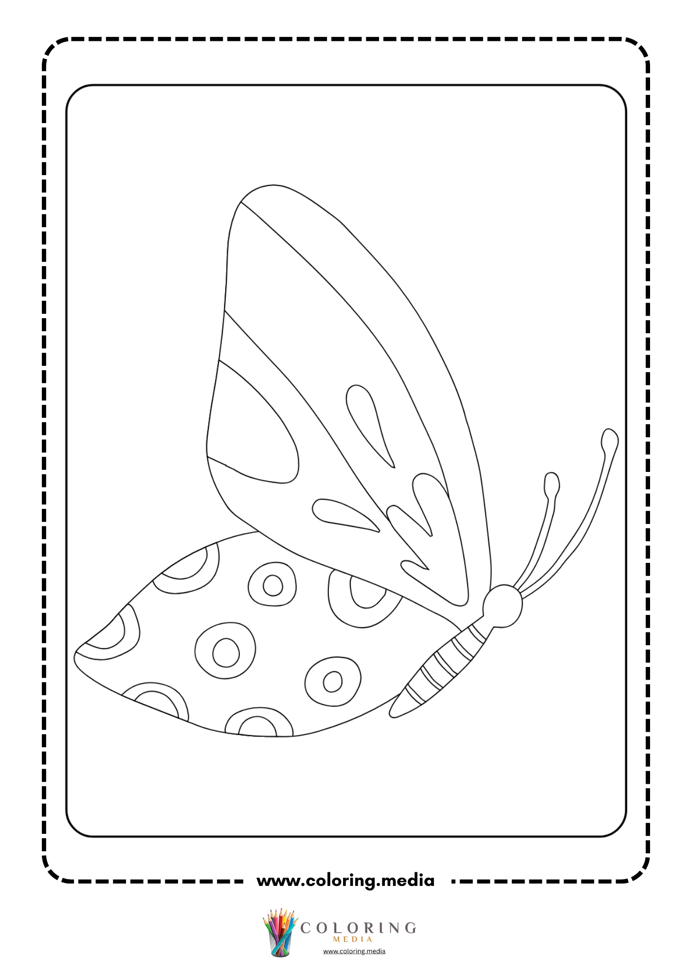 Yellow-banded butterfly with bee-like stripes