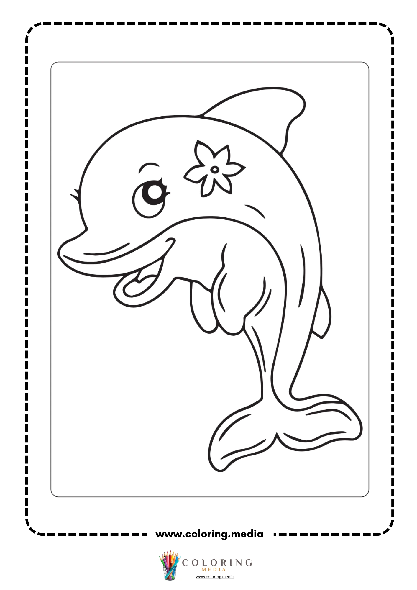 Dolphin jumping from the water surface