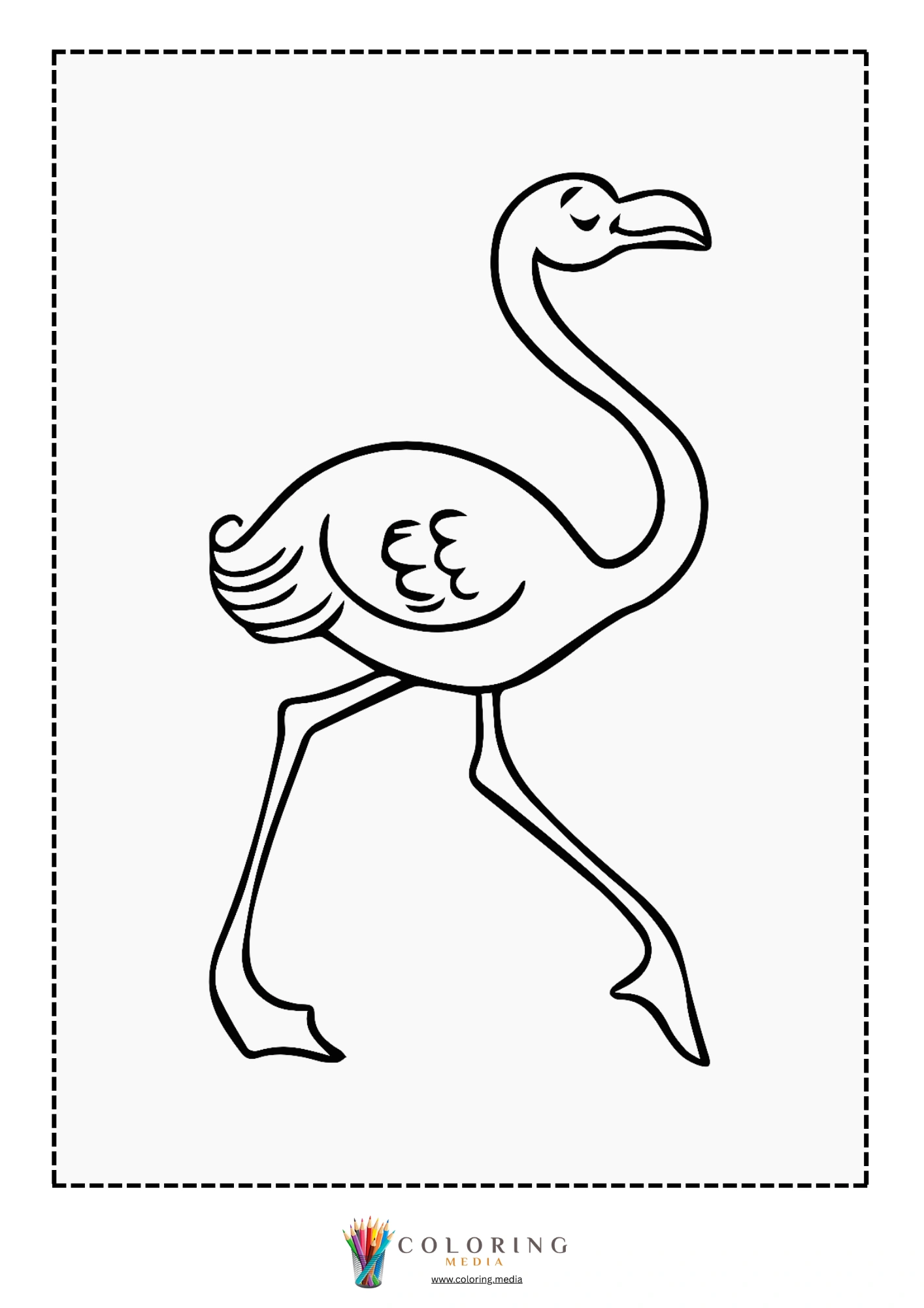 Flamingo with long curved neck