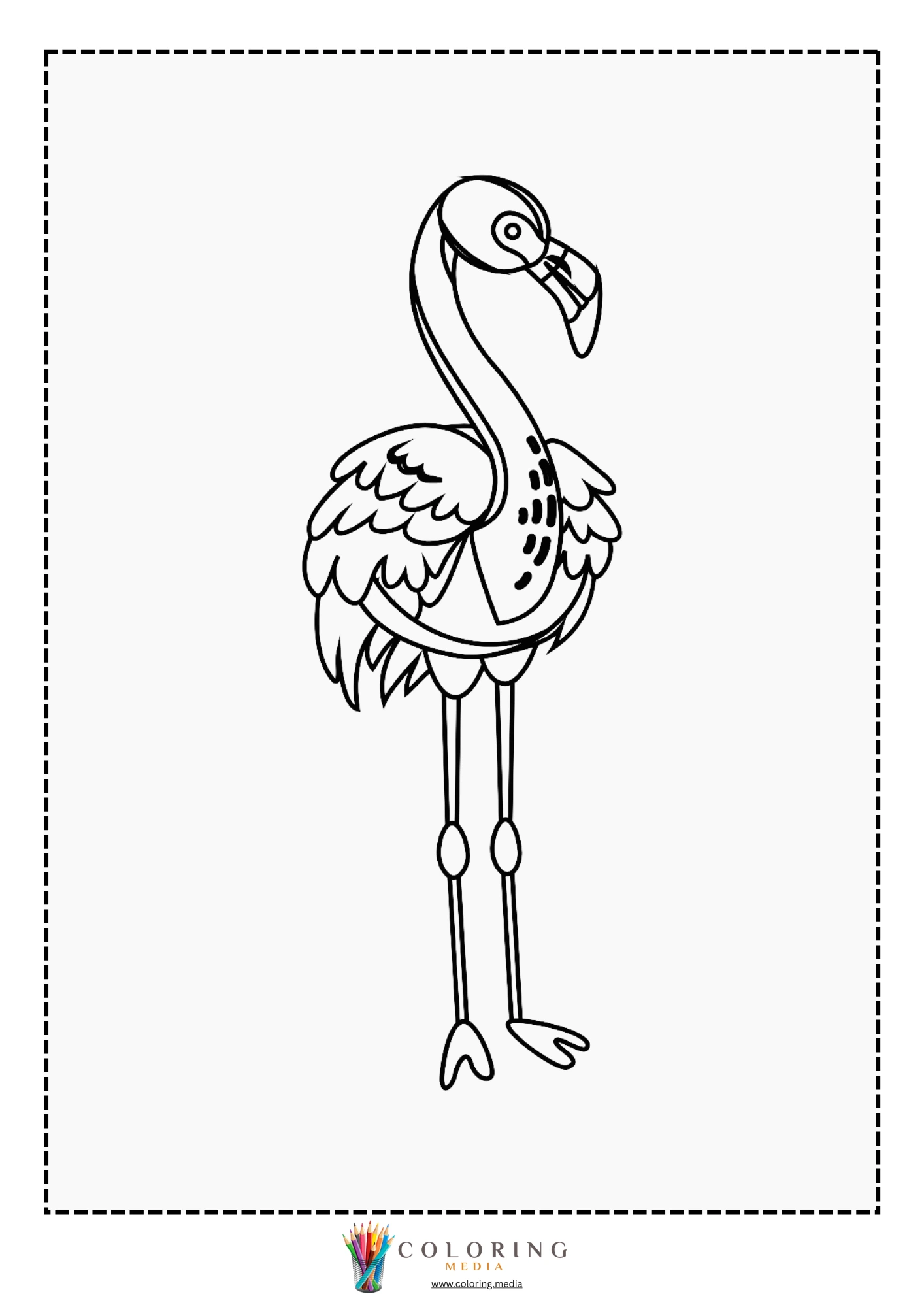 Two flamingos standing close together