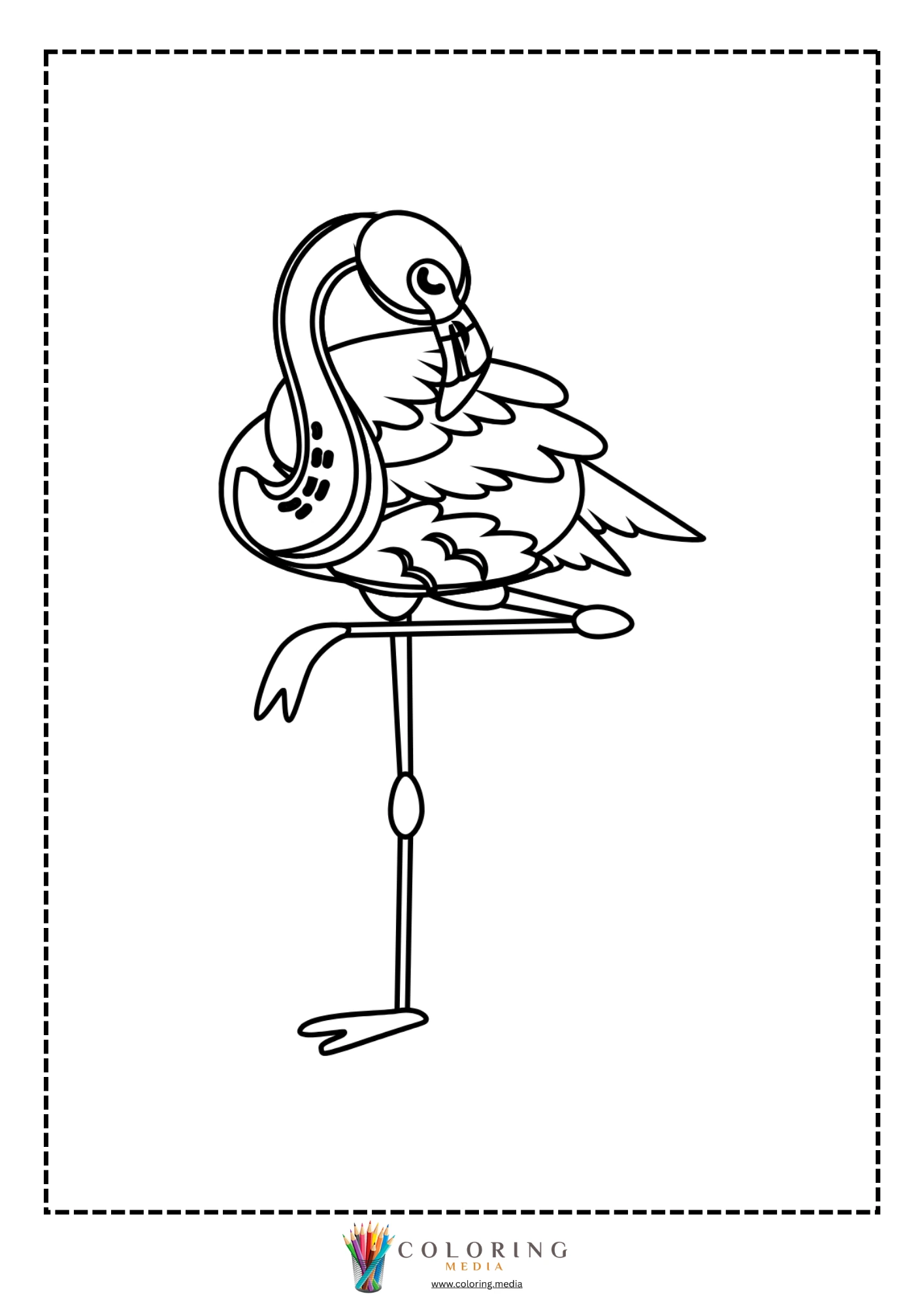 Flamingo balanced on one leg