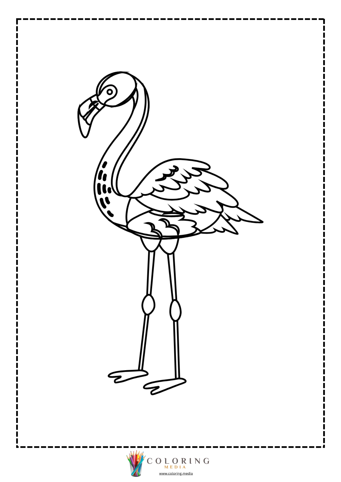 Group of flamingos standing together