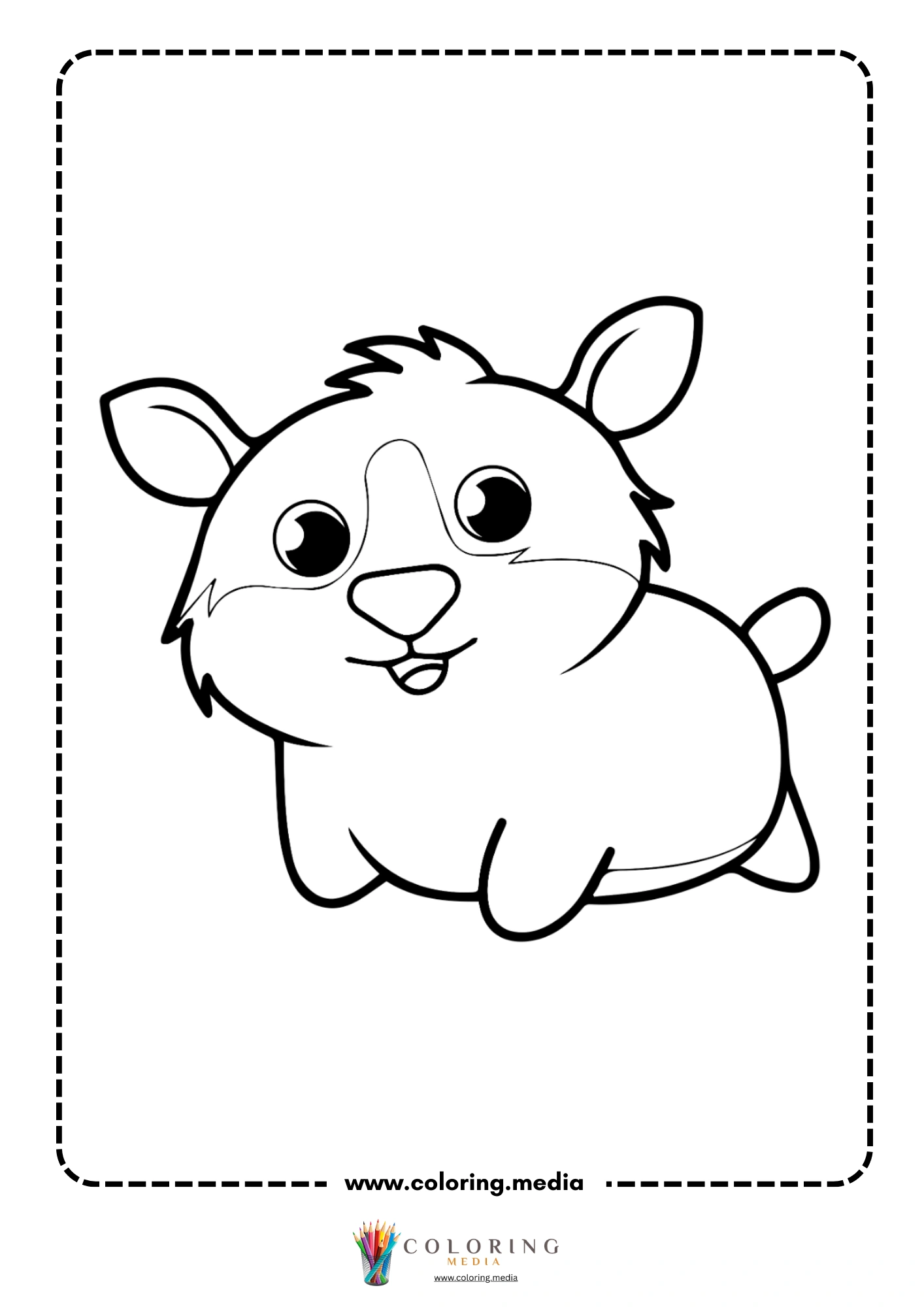 Fluffy long-haired guinea pig
