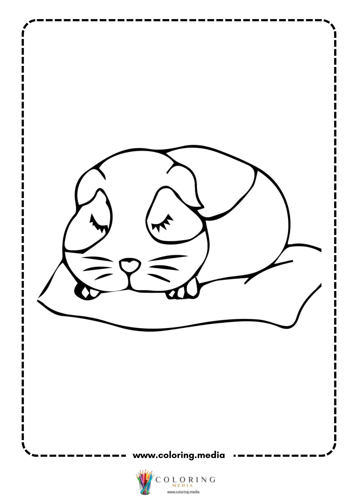 Guinea pig portrait with cute face