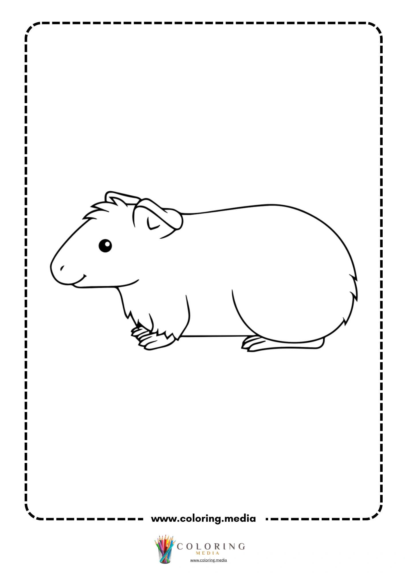 Smiling guinea pig with wide eyes