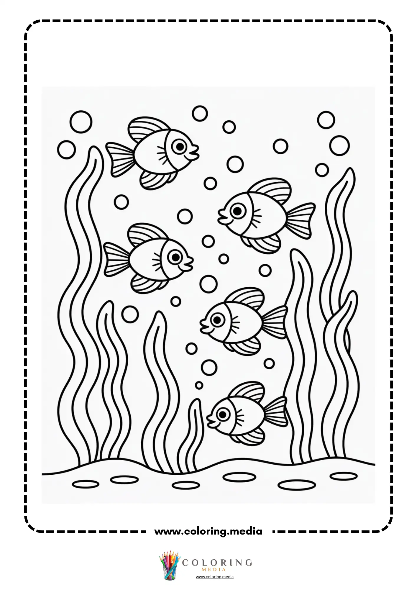 Single dolphin leaping at the surface