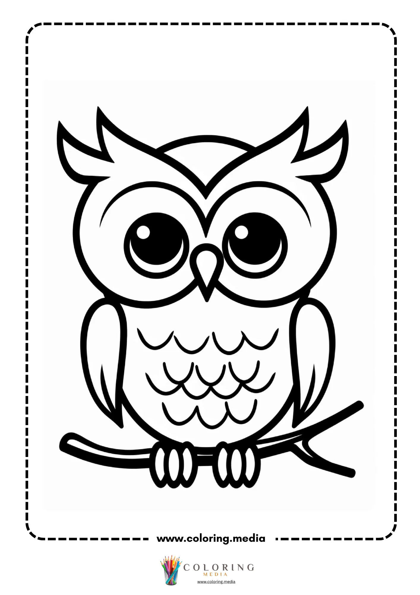 Bold owl on branch with feather chest pattern