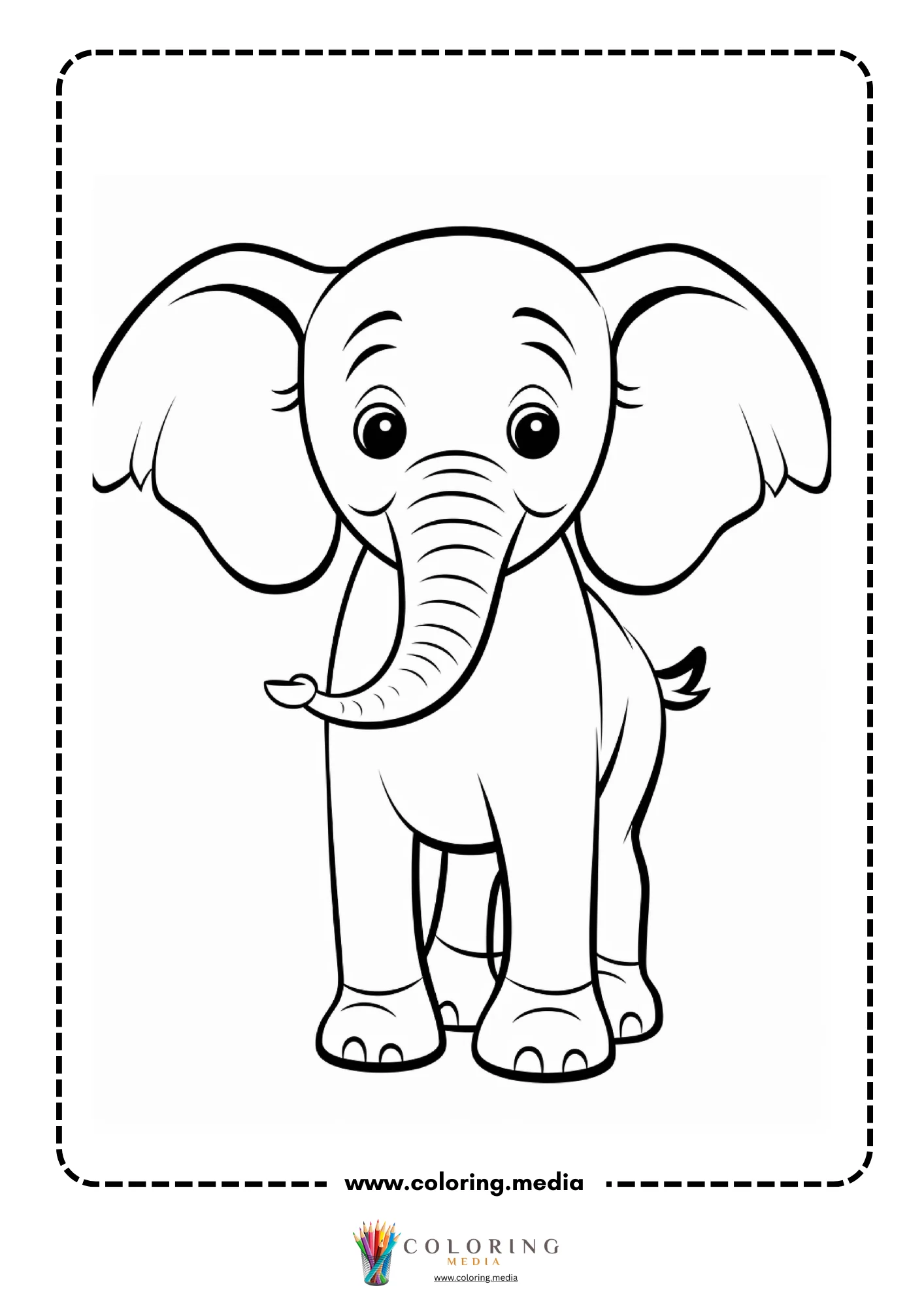 Baby elephant standing facing forward with ears spread