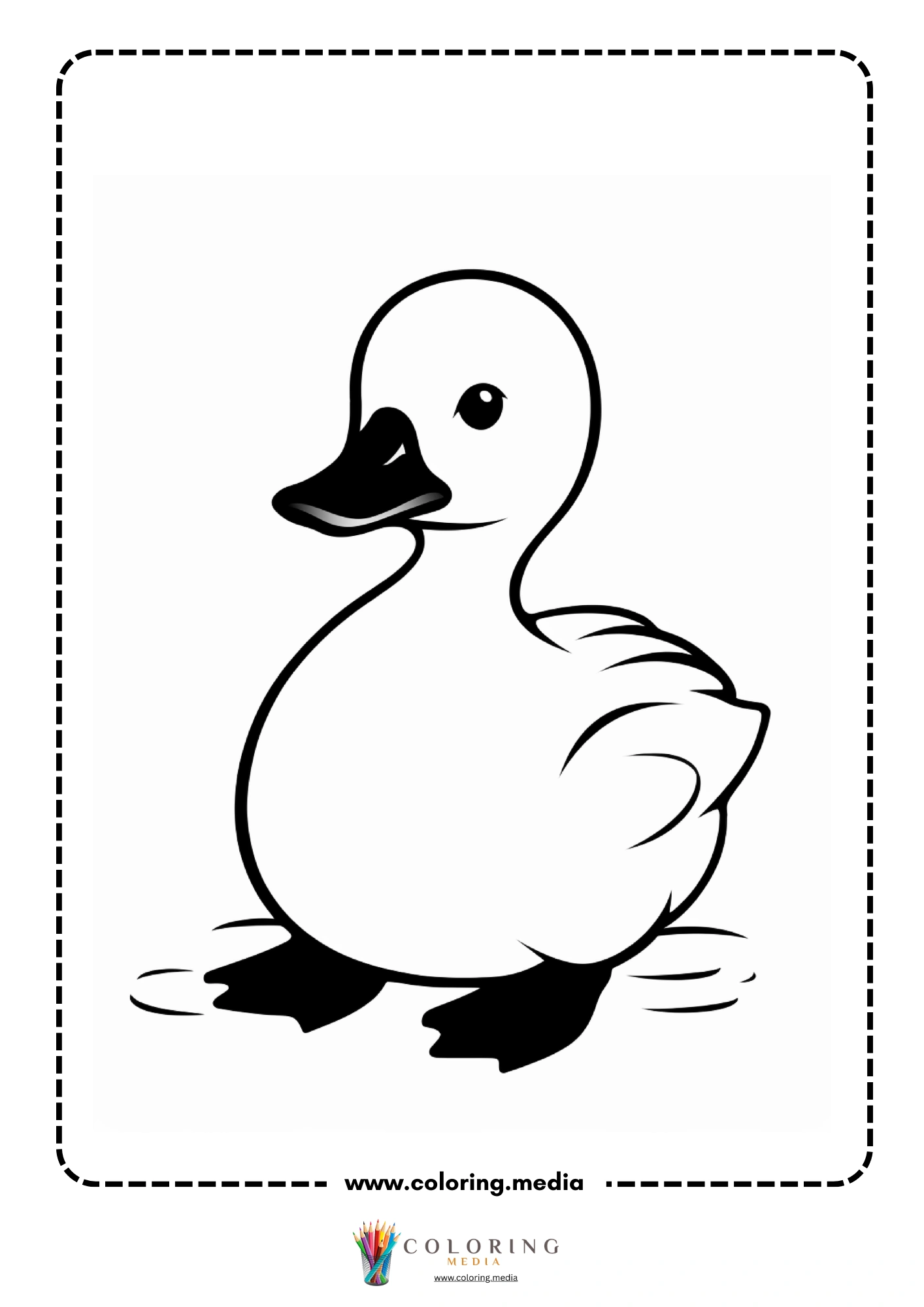 Round baby duckling standing with bold black feet