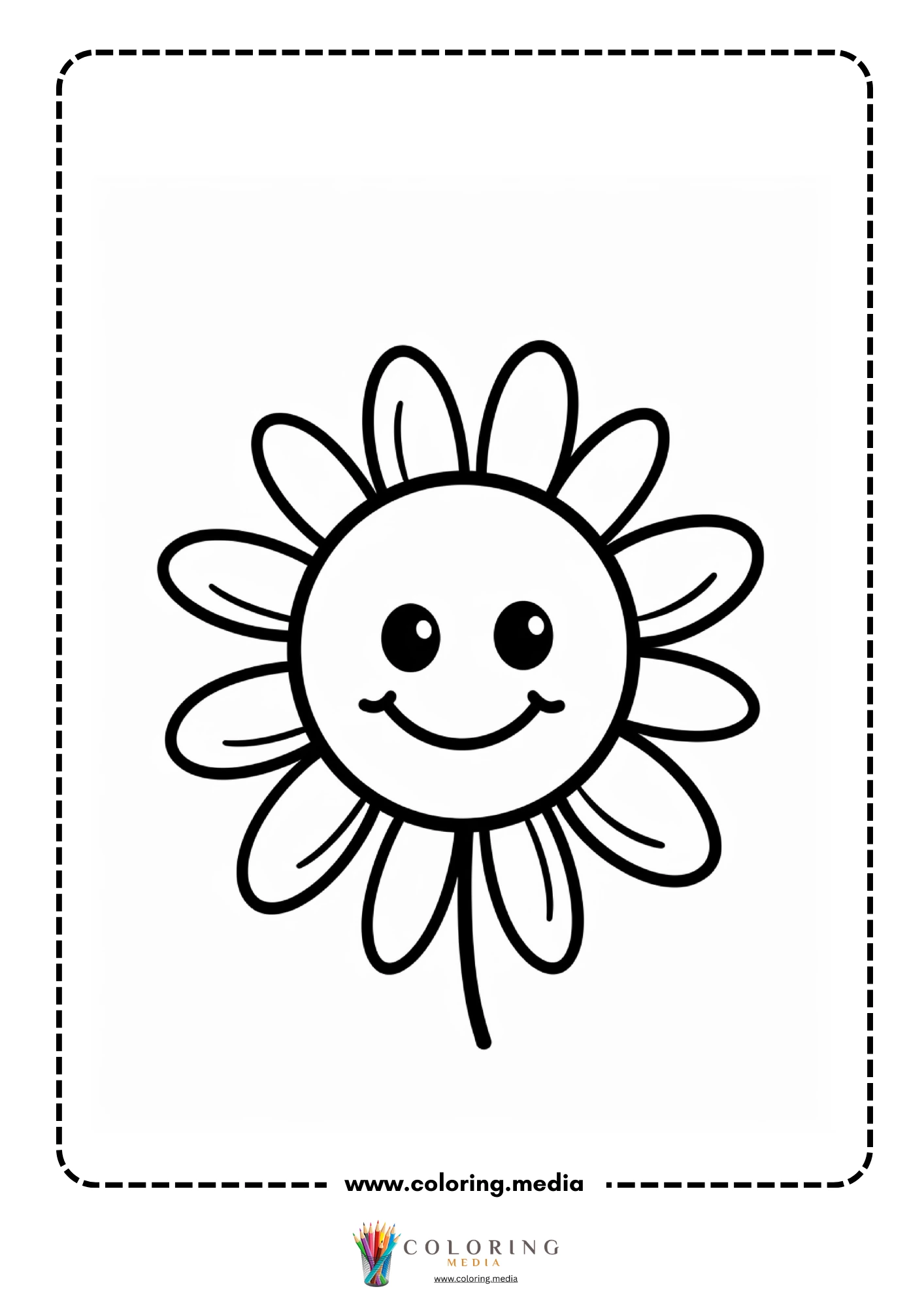 Smiling daisy flower head with oval petals on short stem