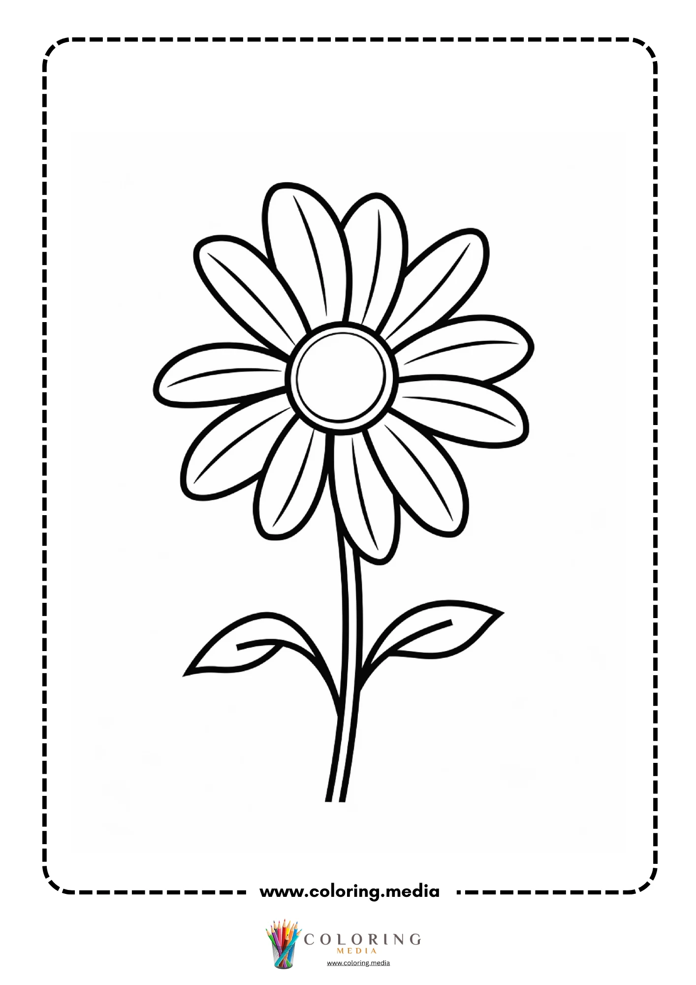 Daisy flower with round center ring on stem with leaves