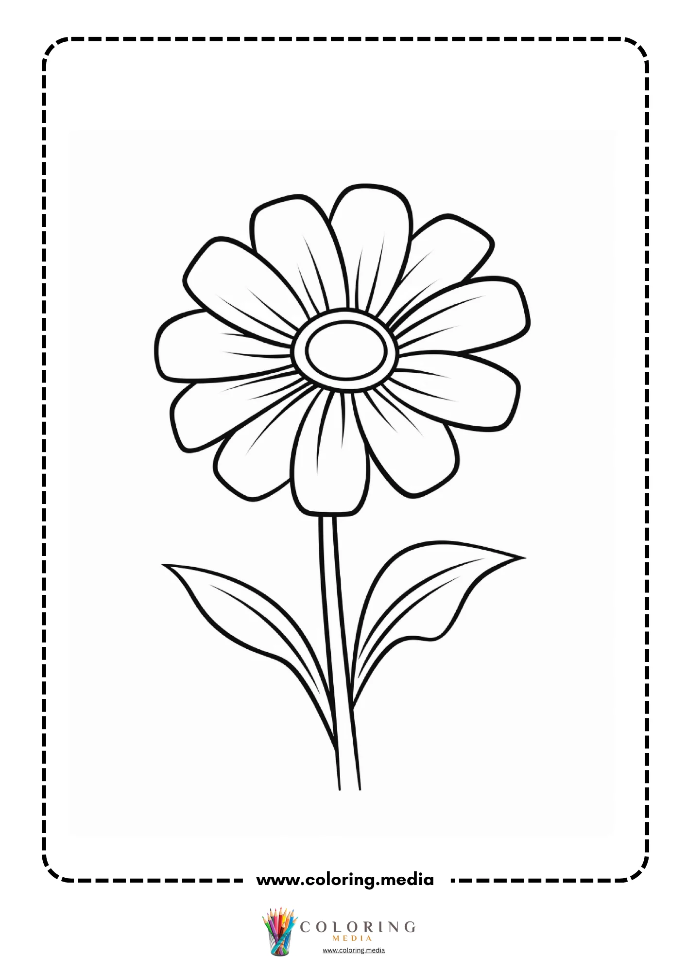 Gerbera daisy with oval petals and oval center on stem