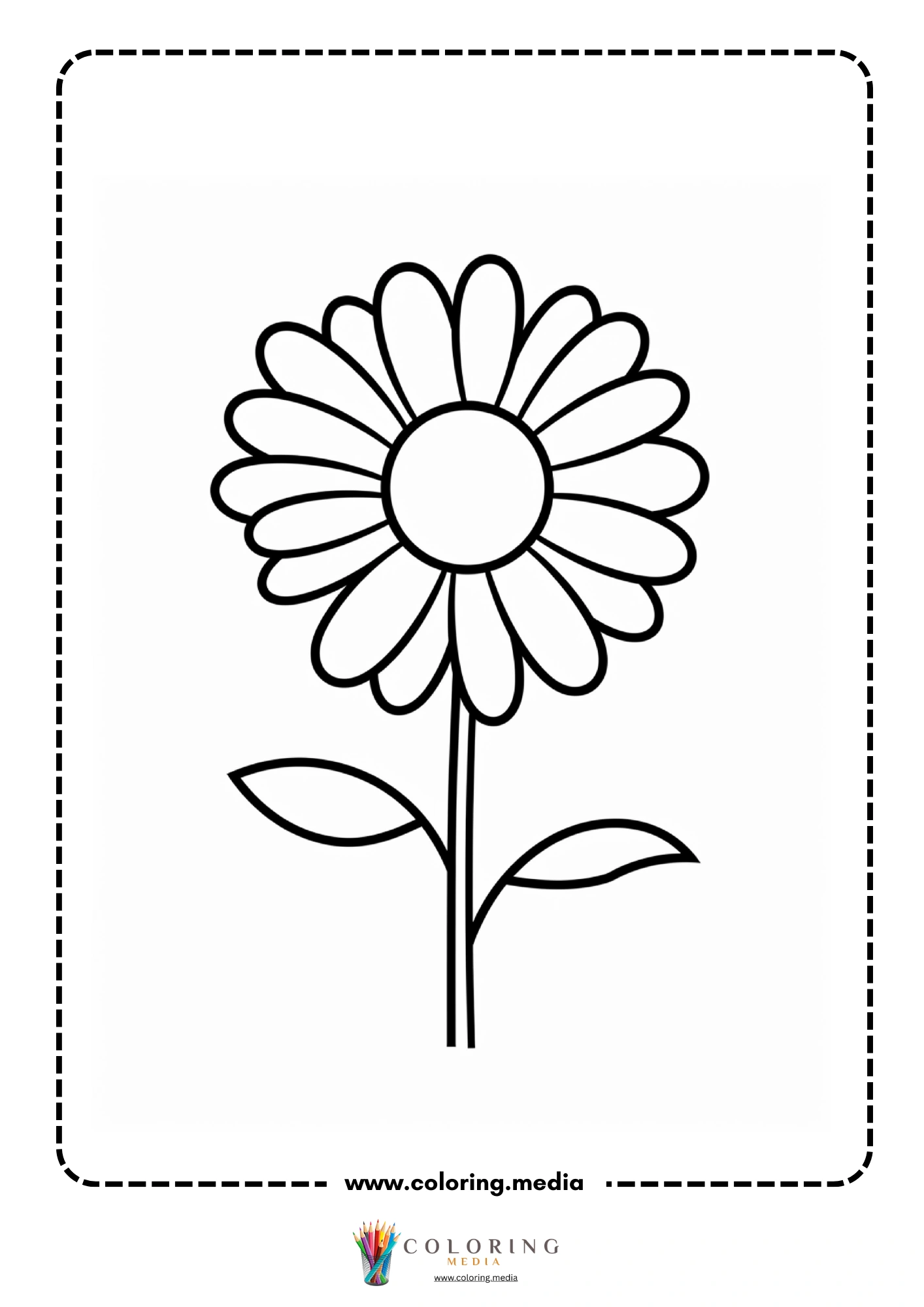 Large daisy with many petals on stem with two leaves