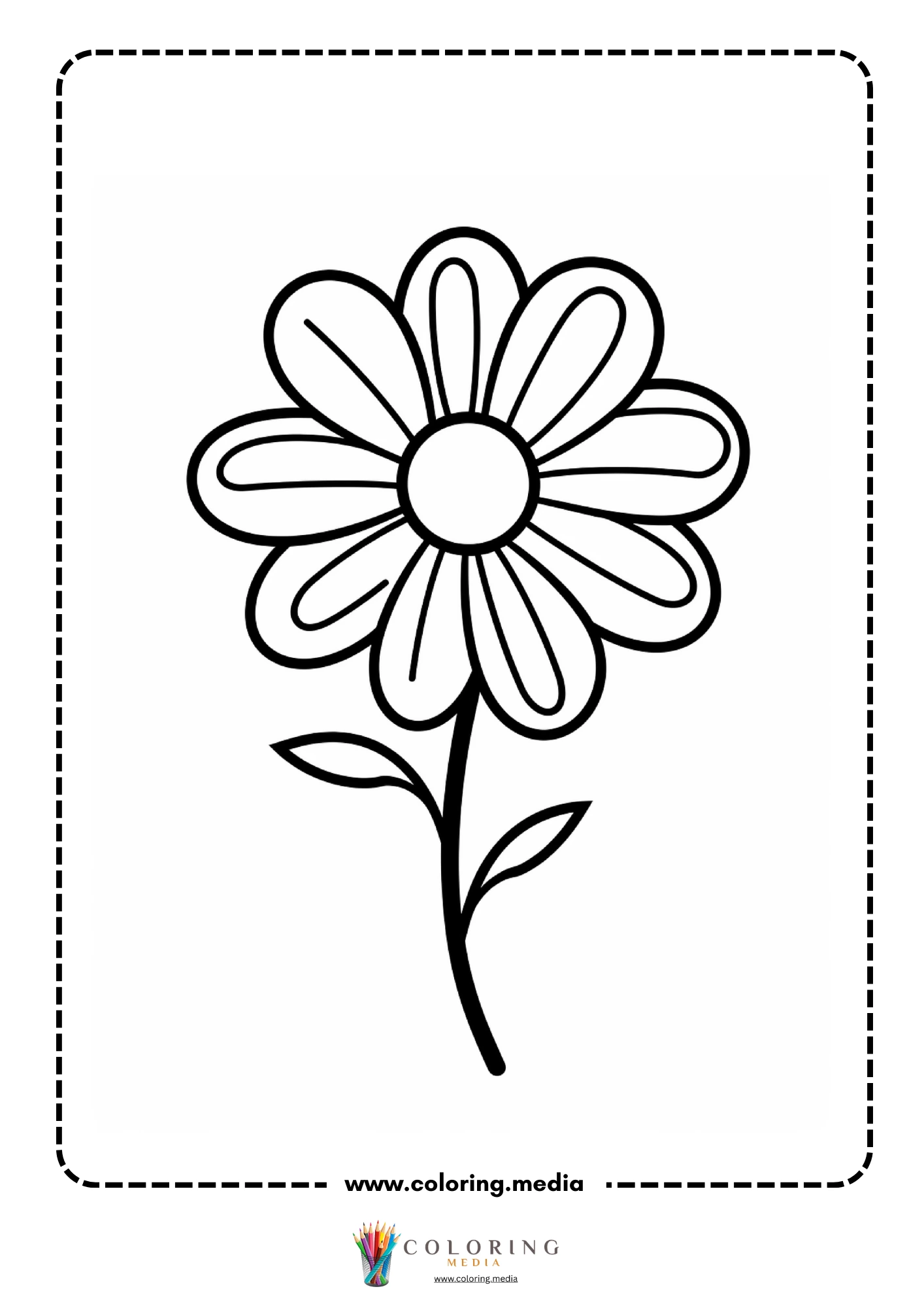 Daisy flower with oval petals on stem with two leaves