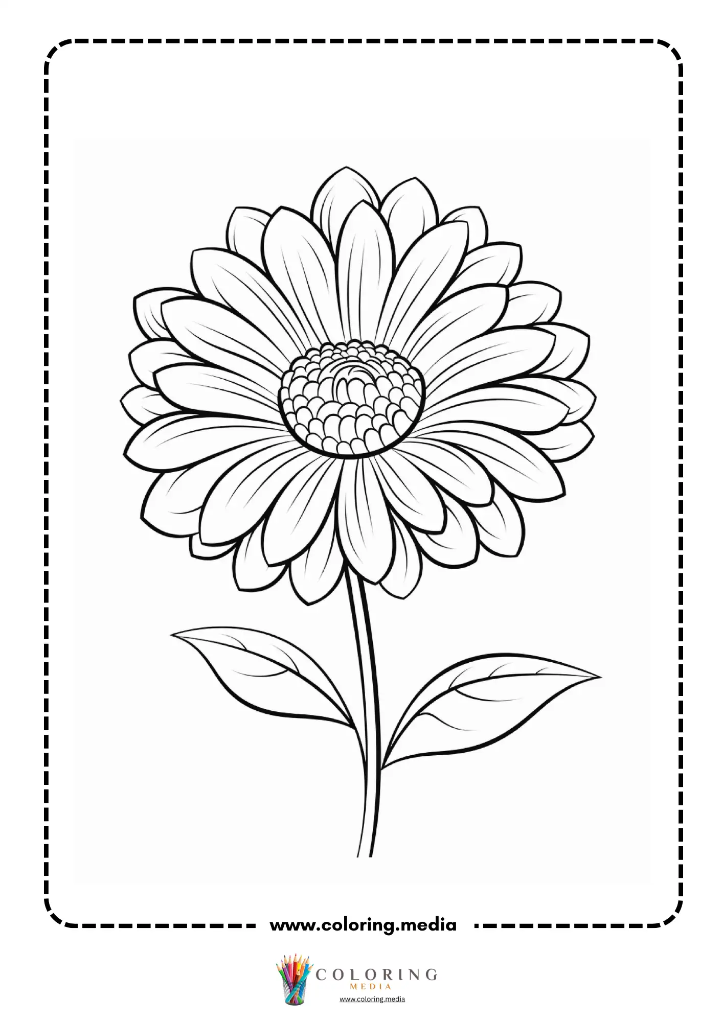 Detailed gerbera daisy with layered petals and textured center