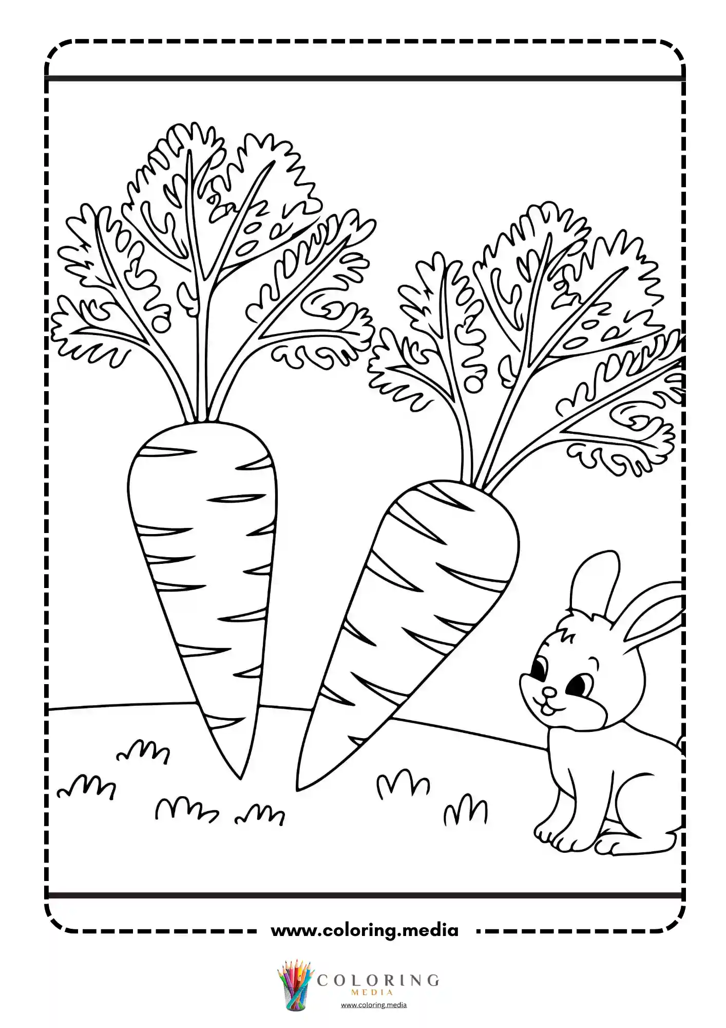 Bunny looking at two large carrots growing in garden