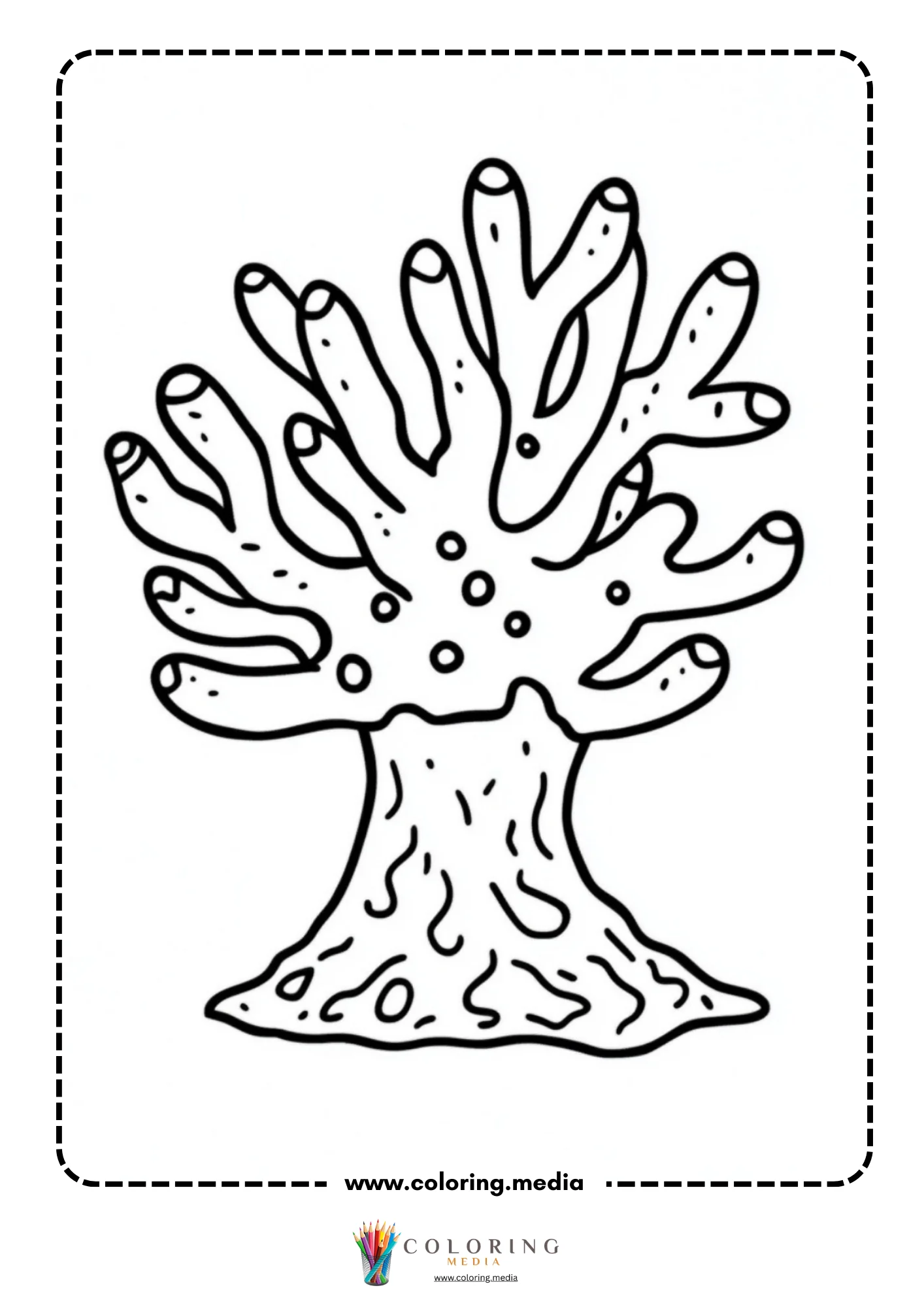 Bold coral with branching finger-like arms on ocean floor