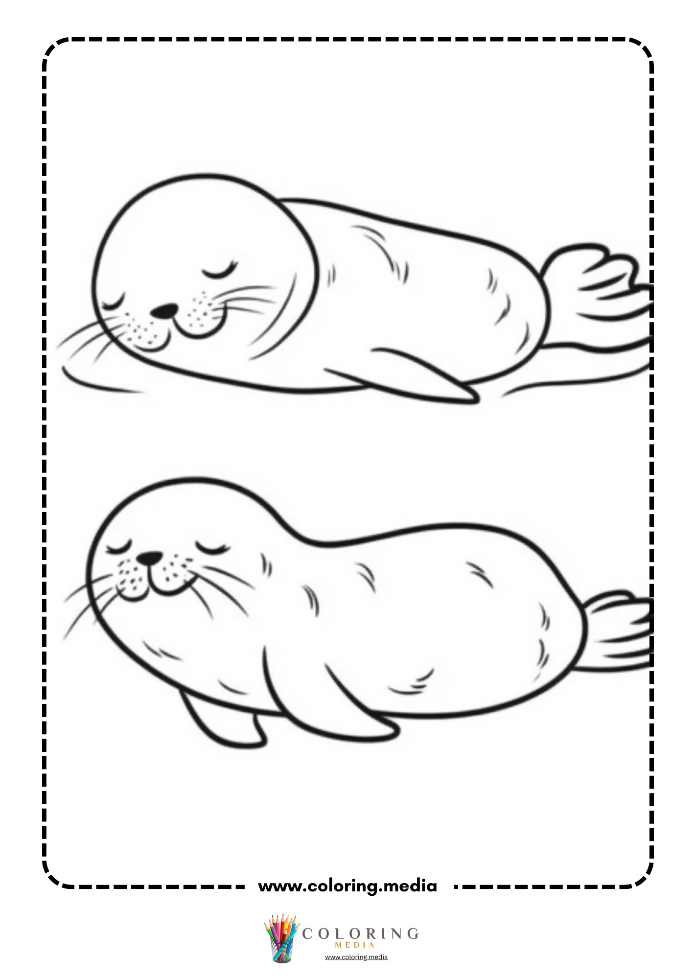 Two sleeping baby seals lying on their sides