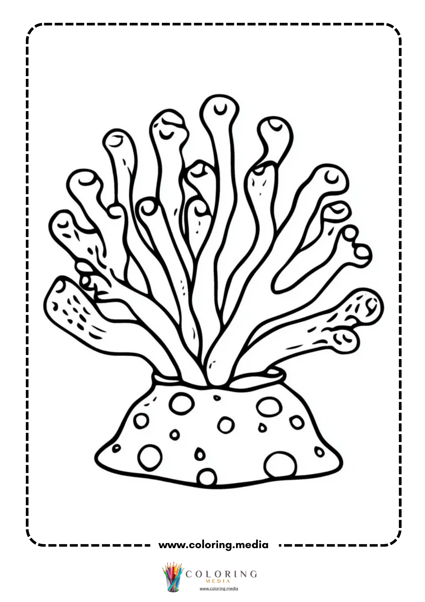 Sea anemone with rounded tentacle tips on dotted rock base