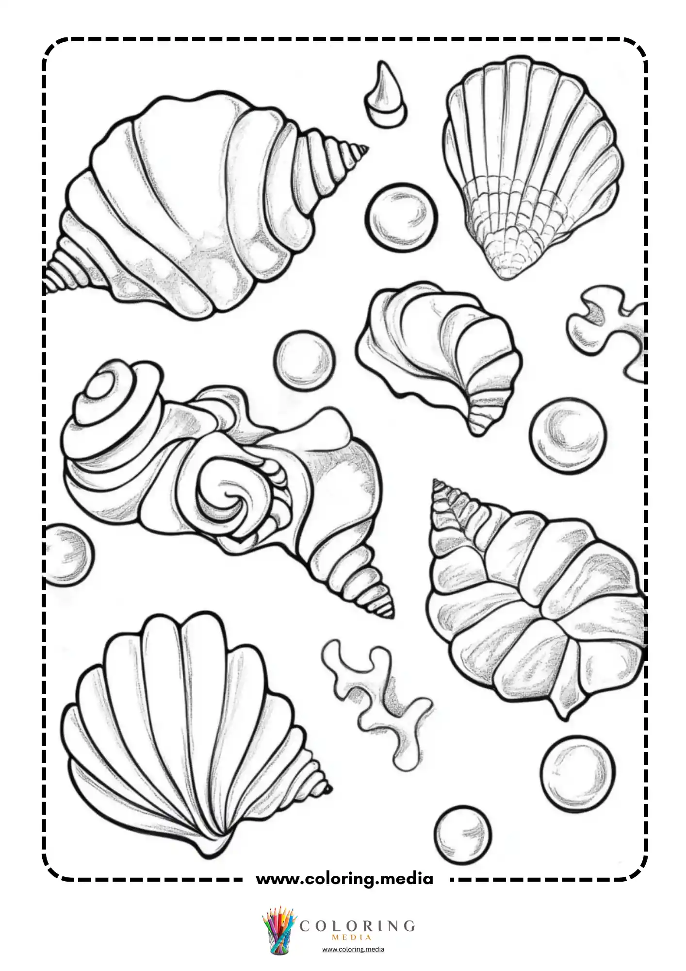 Collection of various seashells and pearls scattered on page