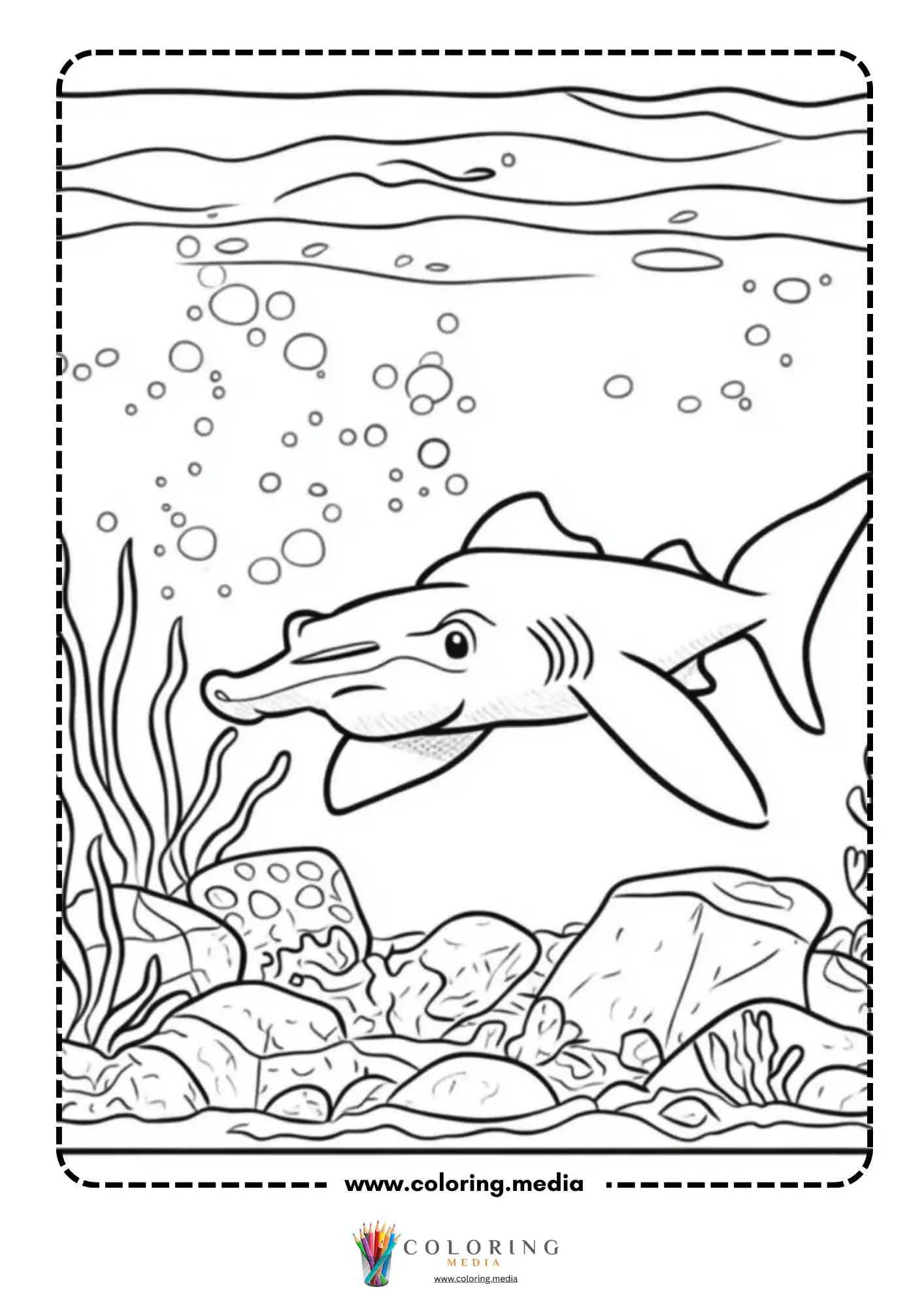Dolphin swimming underwater over coral reef with bubbles