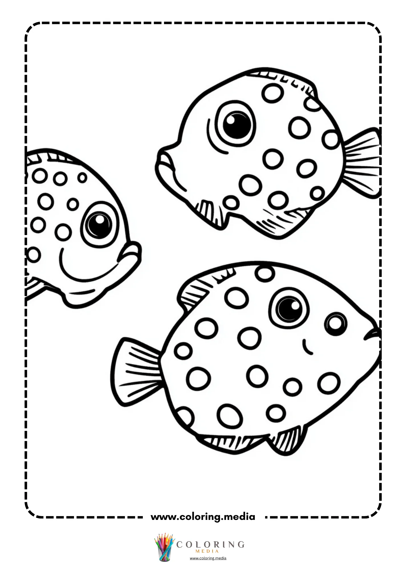 Three round spotted puffer fish with big eyes