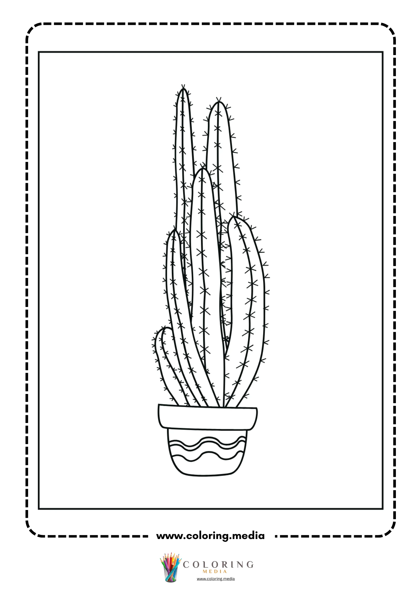 Tall ribbed cactus cluster in wavy pot