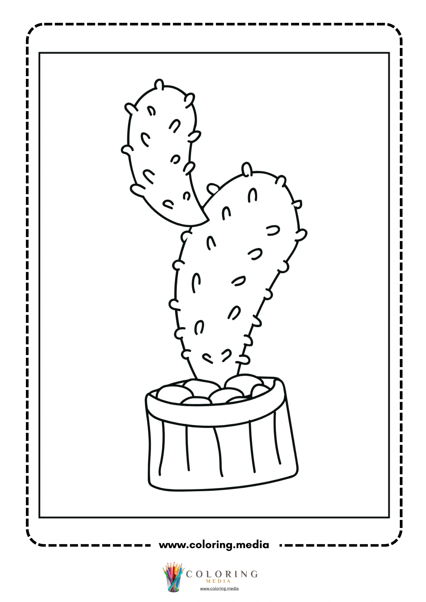 Two-pad cactus growing in wooden planter