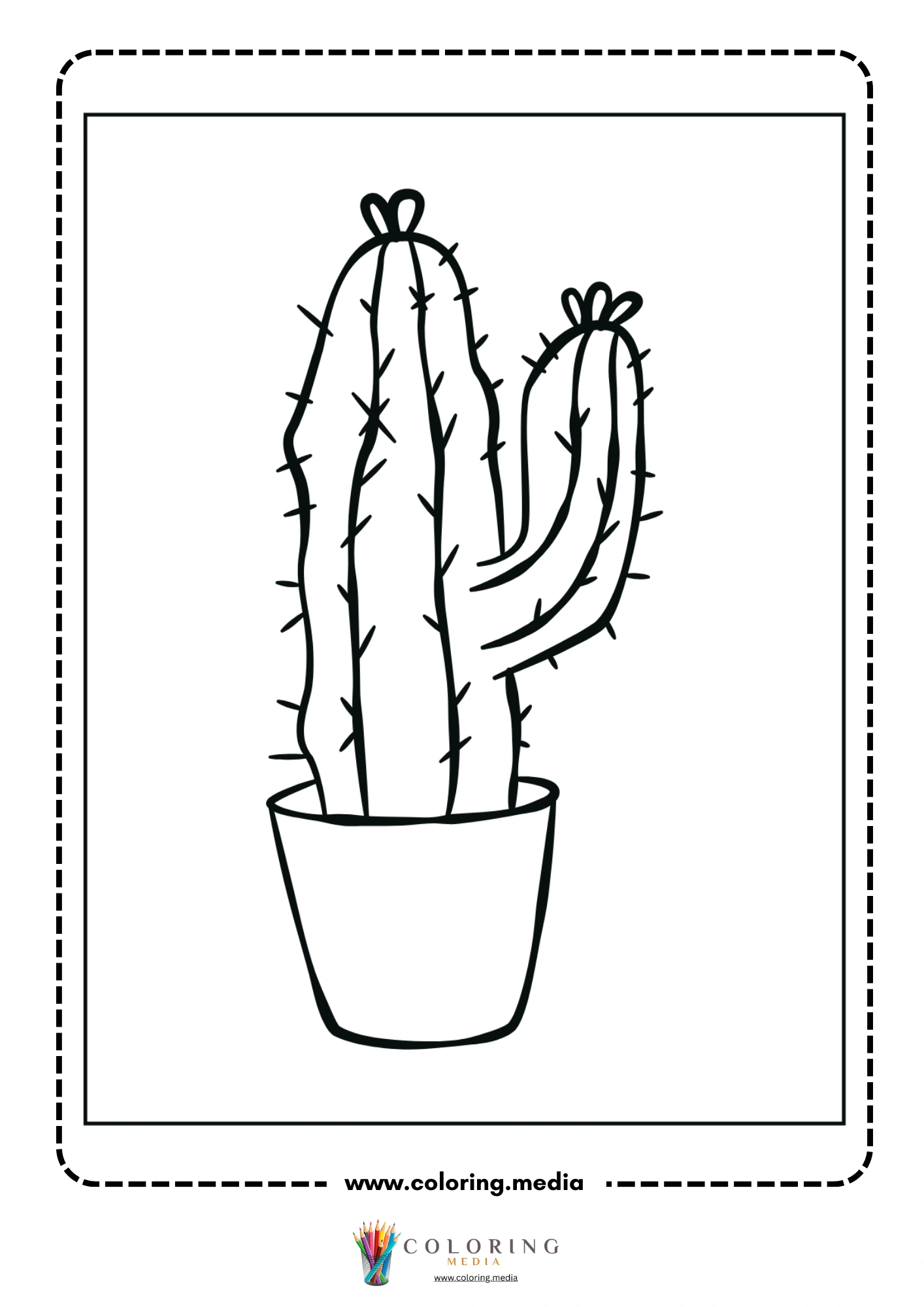 Round barrel cactus in scalloped pot