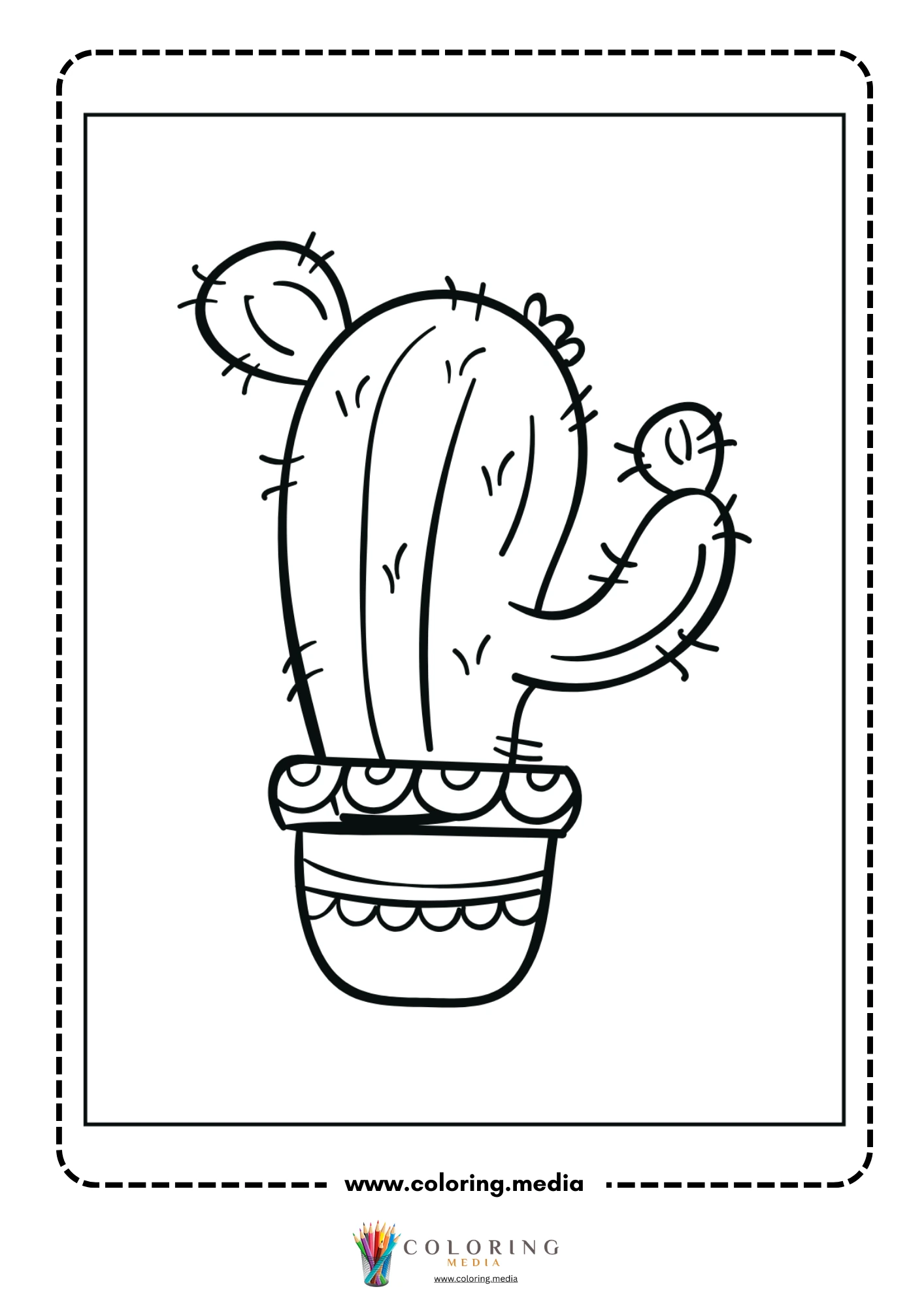 Multi-arm cactus in decorative flowerpot
