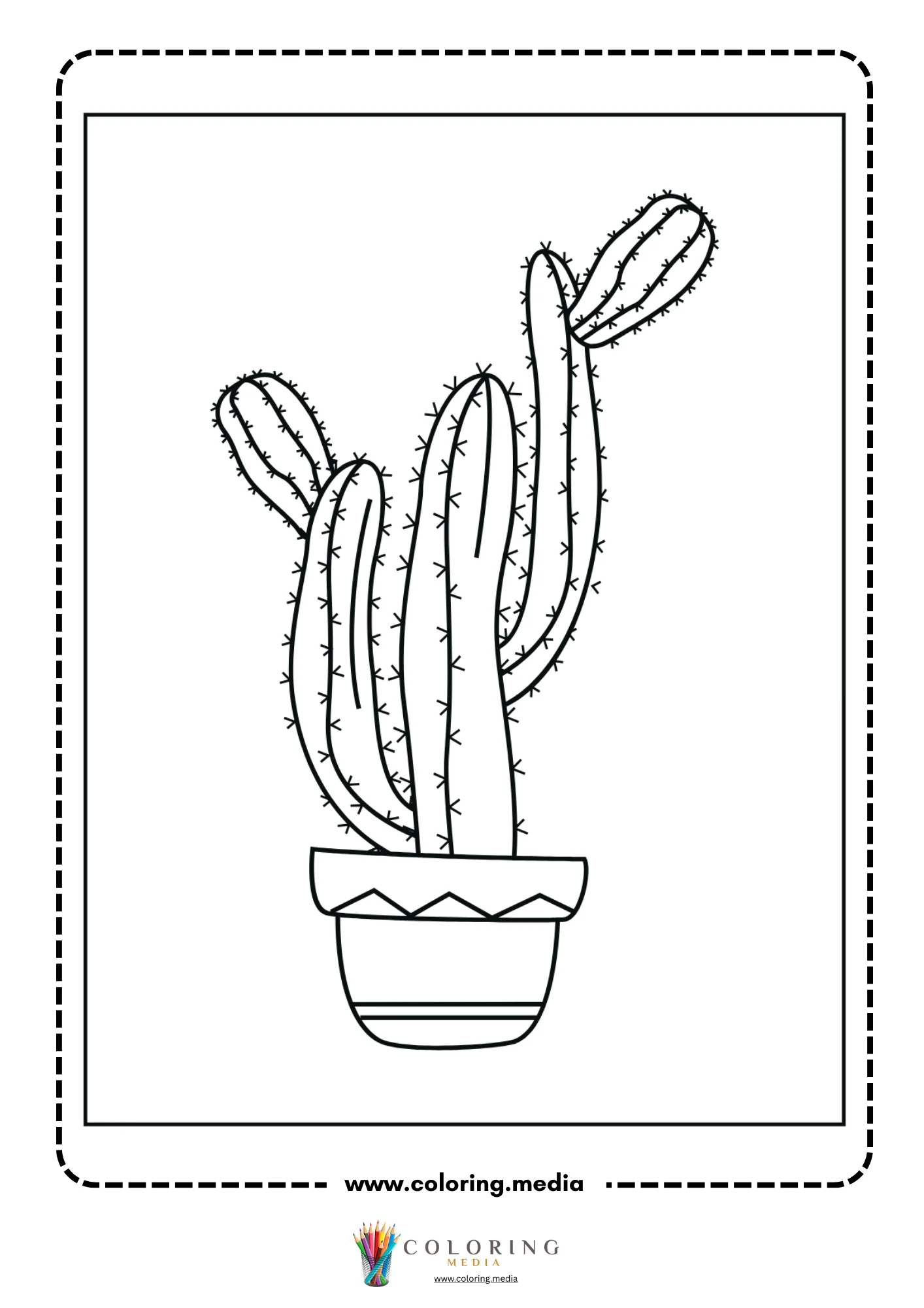 Tall cactus with rounded side arms