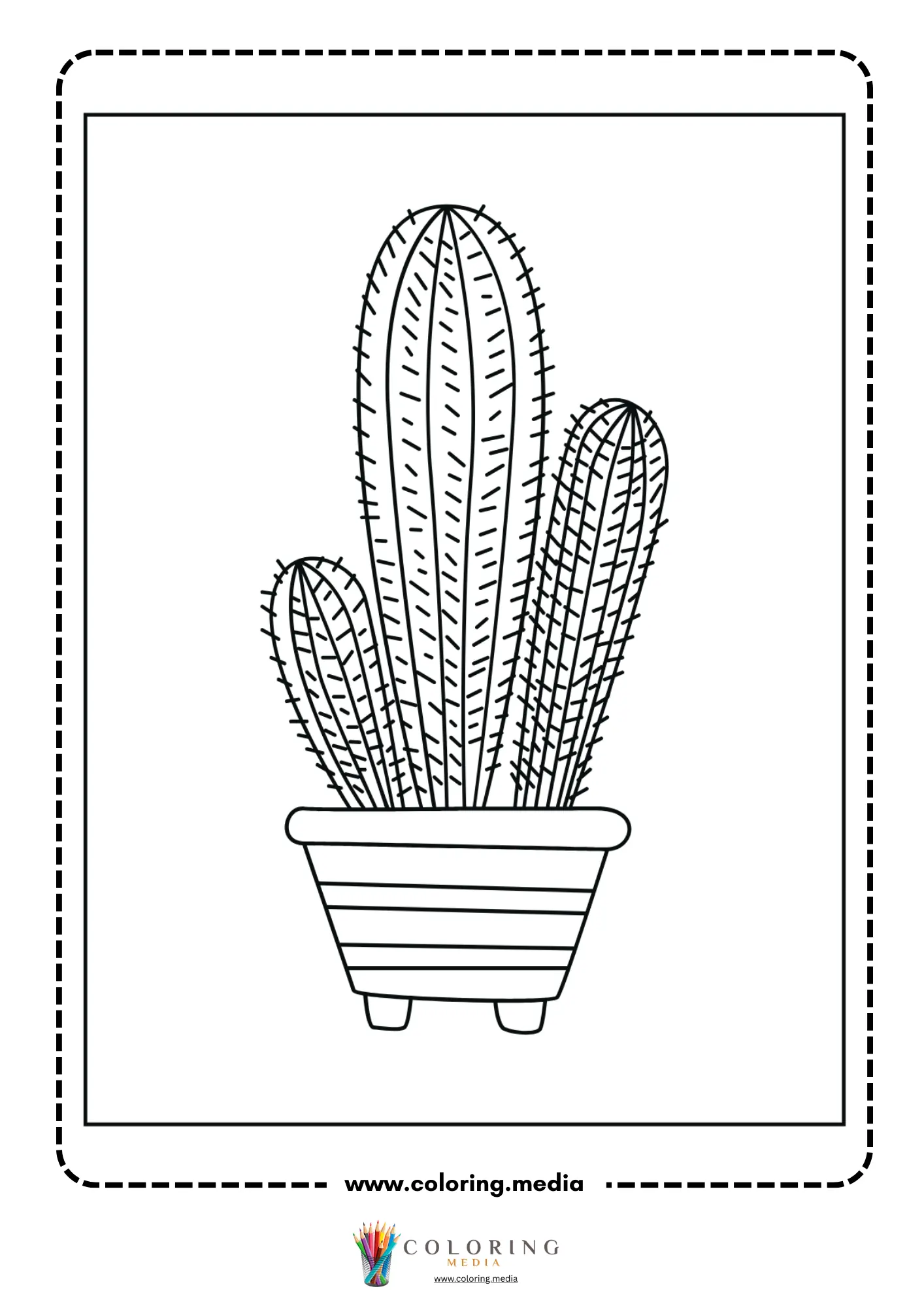 Flowering cactus cluster in patterned pot